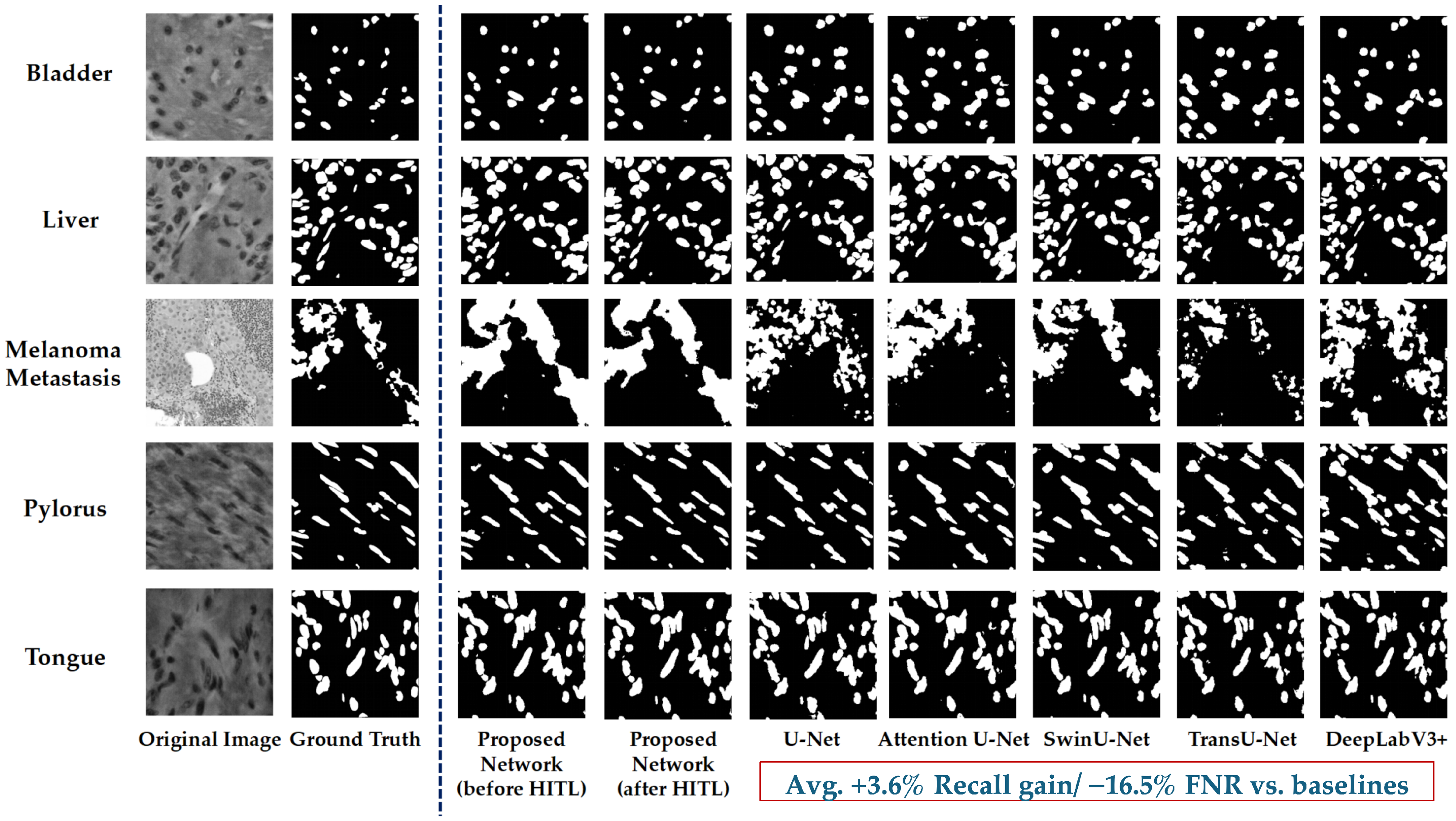 Bioengineering 12 01156 g018 Bioengineering 12 01156 g018