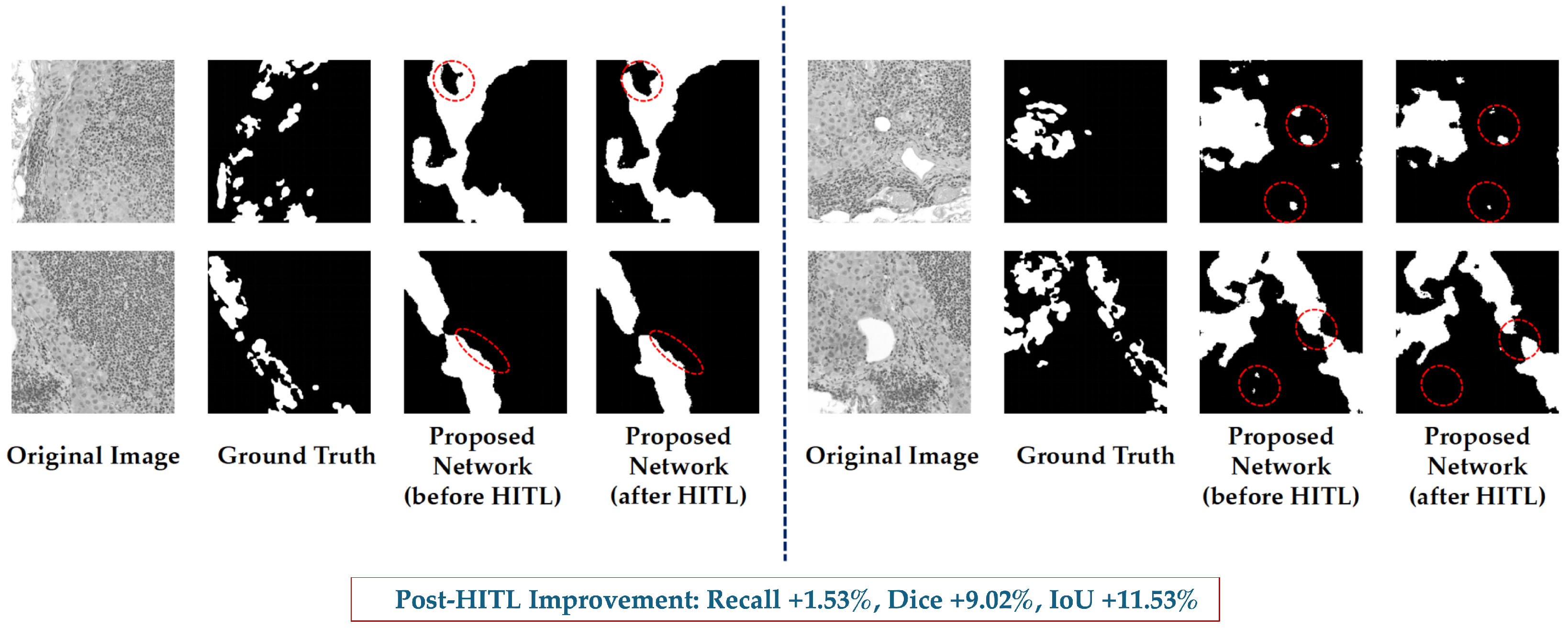 Bioengineering 12 01156 g019 Bioengineering 12 01156 g019