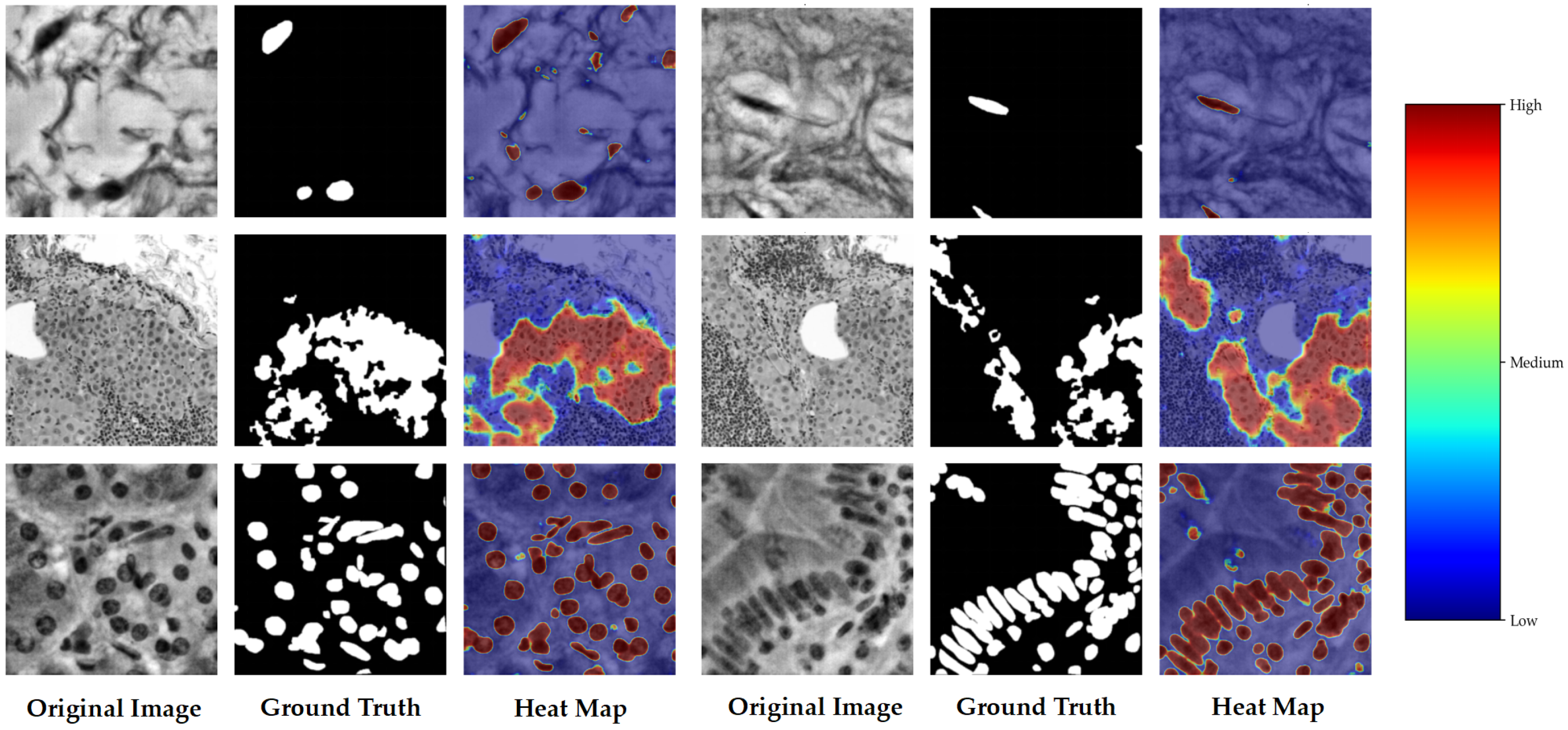 Bioengineering 12 01156 g020 Bioengineering 12 01156 g020