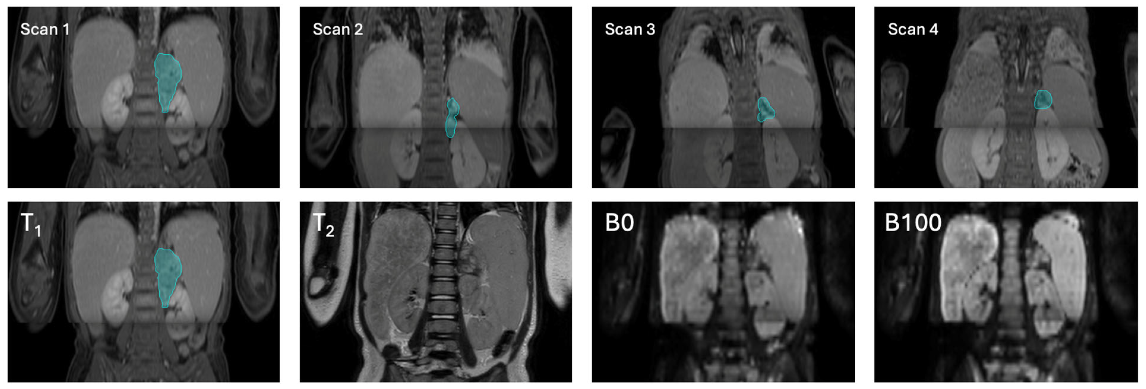 Bioengineering 12 01157 g002