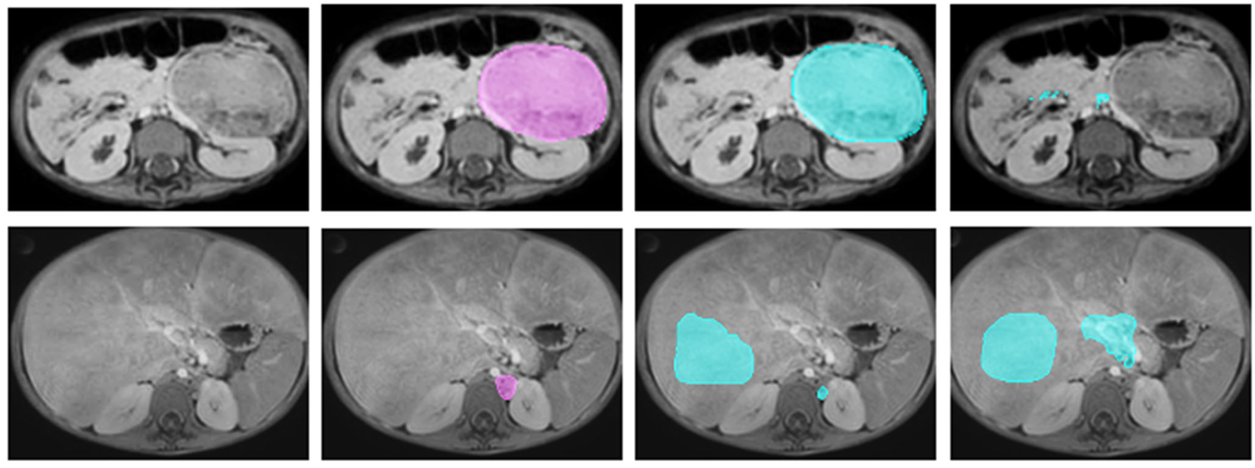 Bioengineering 12 01157 g004