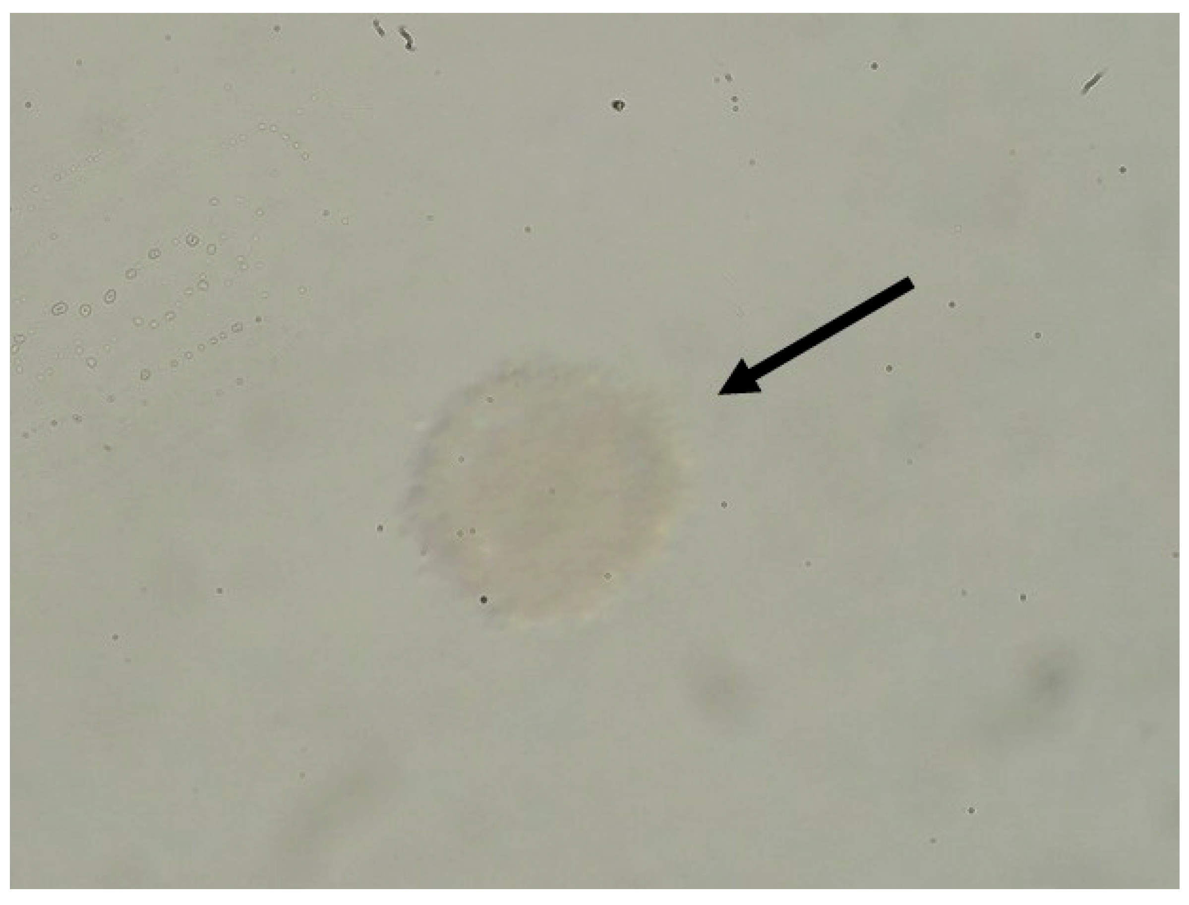 Bioengineering 12 01158 g007 Bioengineering 12 01158 g007
