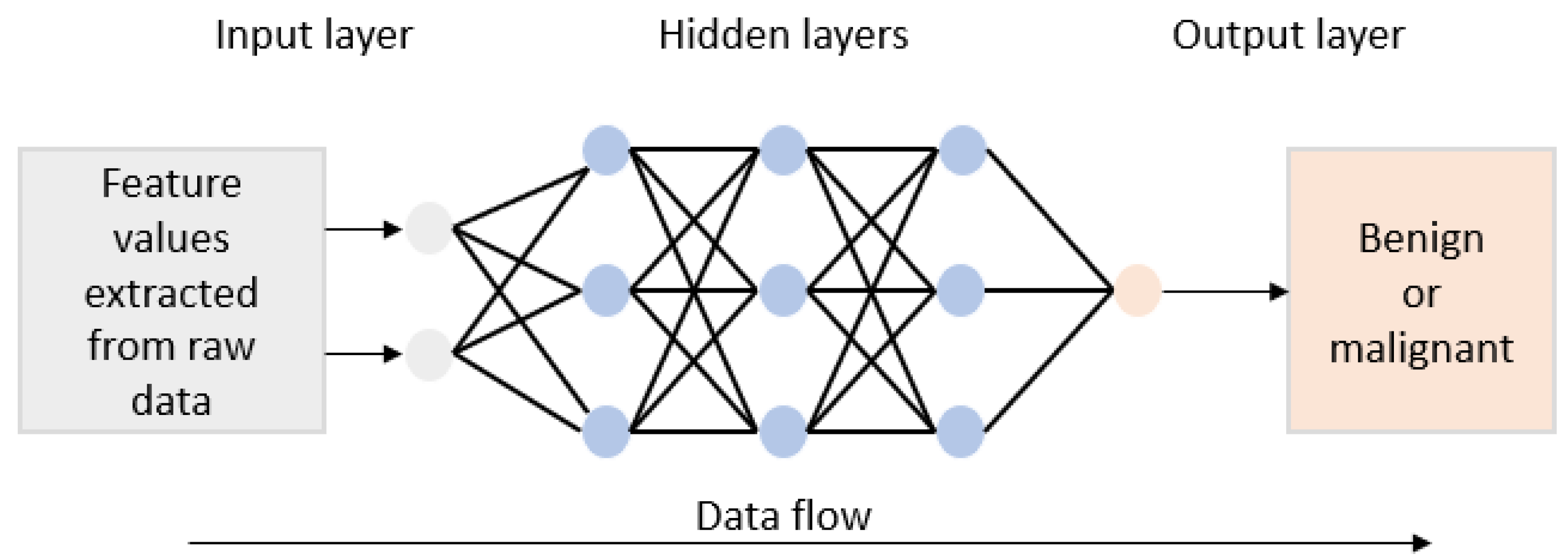 Bioengineering 12 01160 g009 Bioengineering 12 01160 g009