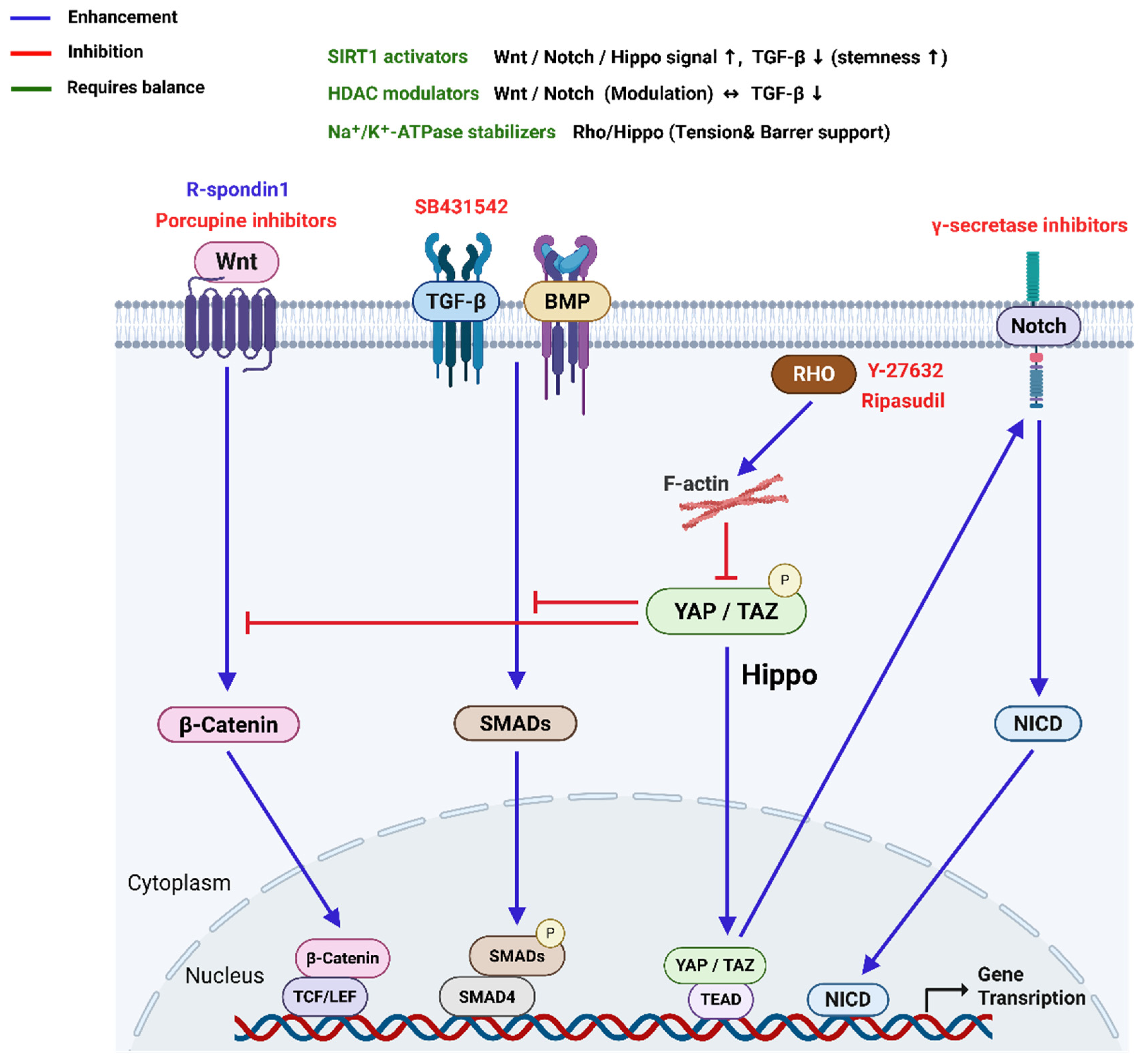 Bioengineering 12 01162 g003 Bioengineering 12 01162 g003