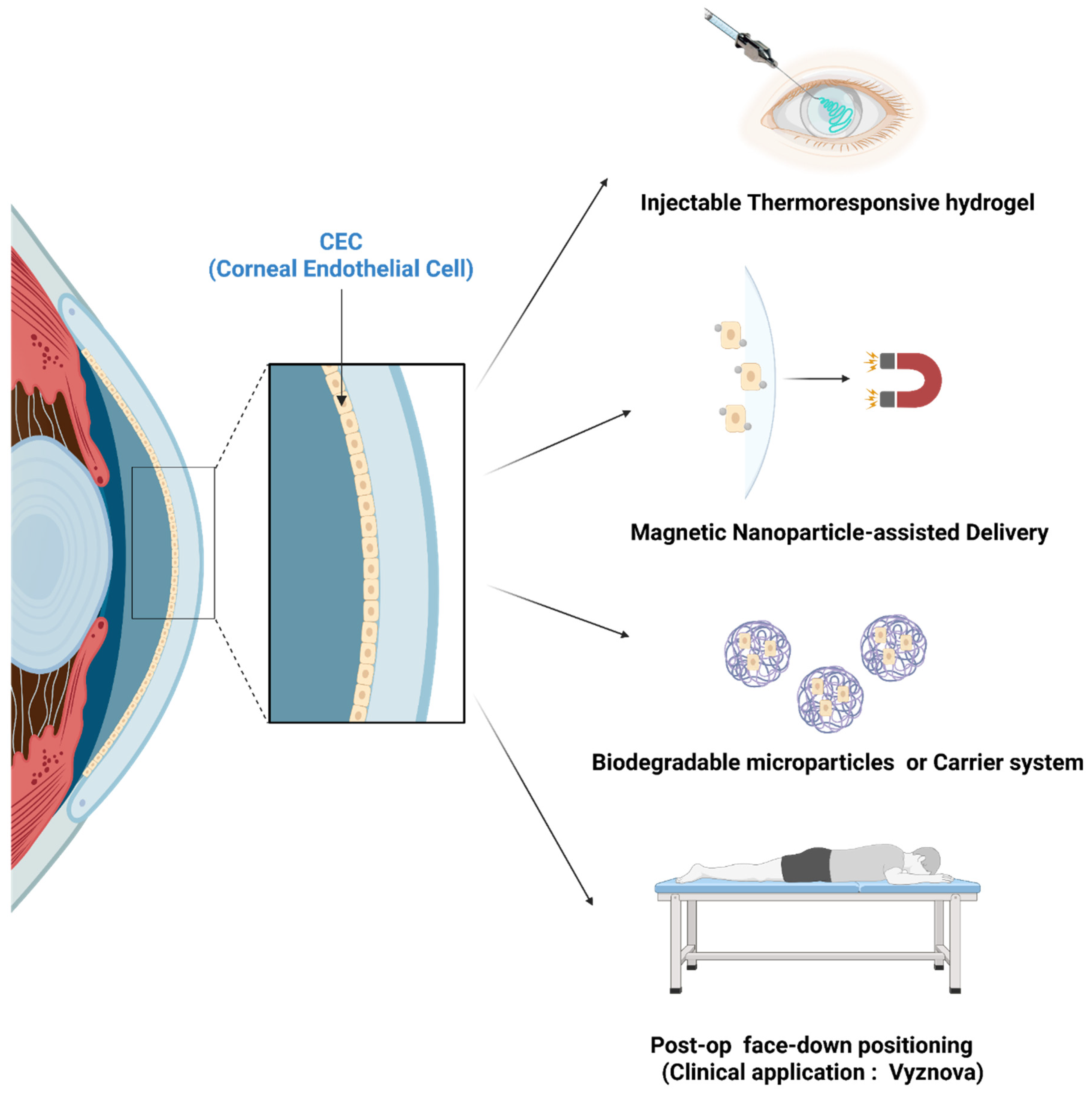 Bioengineering 12 01162 g004 Bioengineering 12 01162 g004