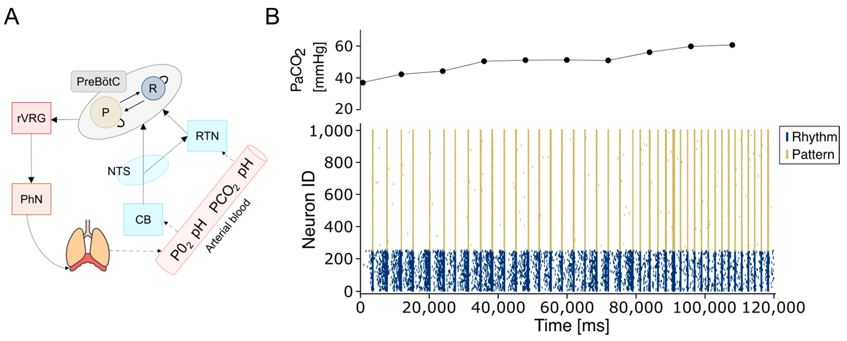 Bioengineering 12 01163 g006 Bioengineering 12 01163 g006