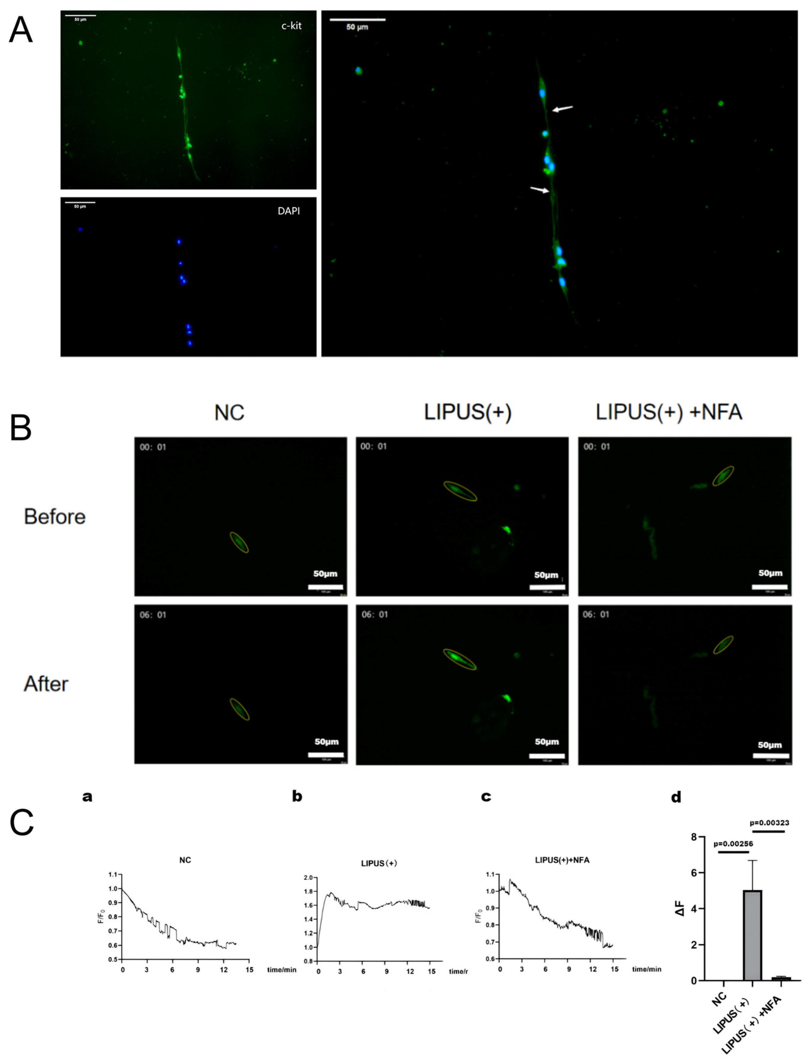 Bioengineering 12 01164 g003 Bioengineering 12 01164 g003