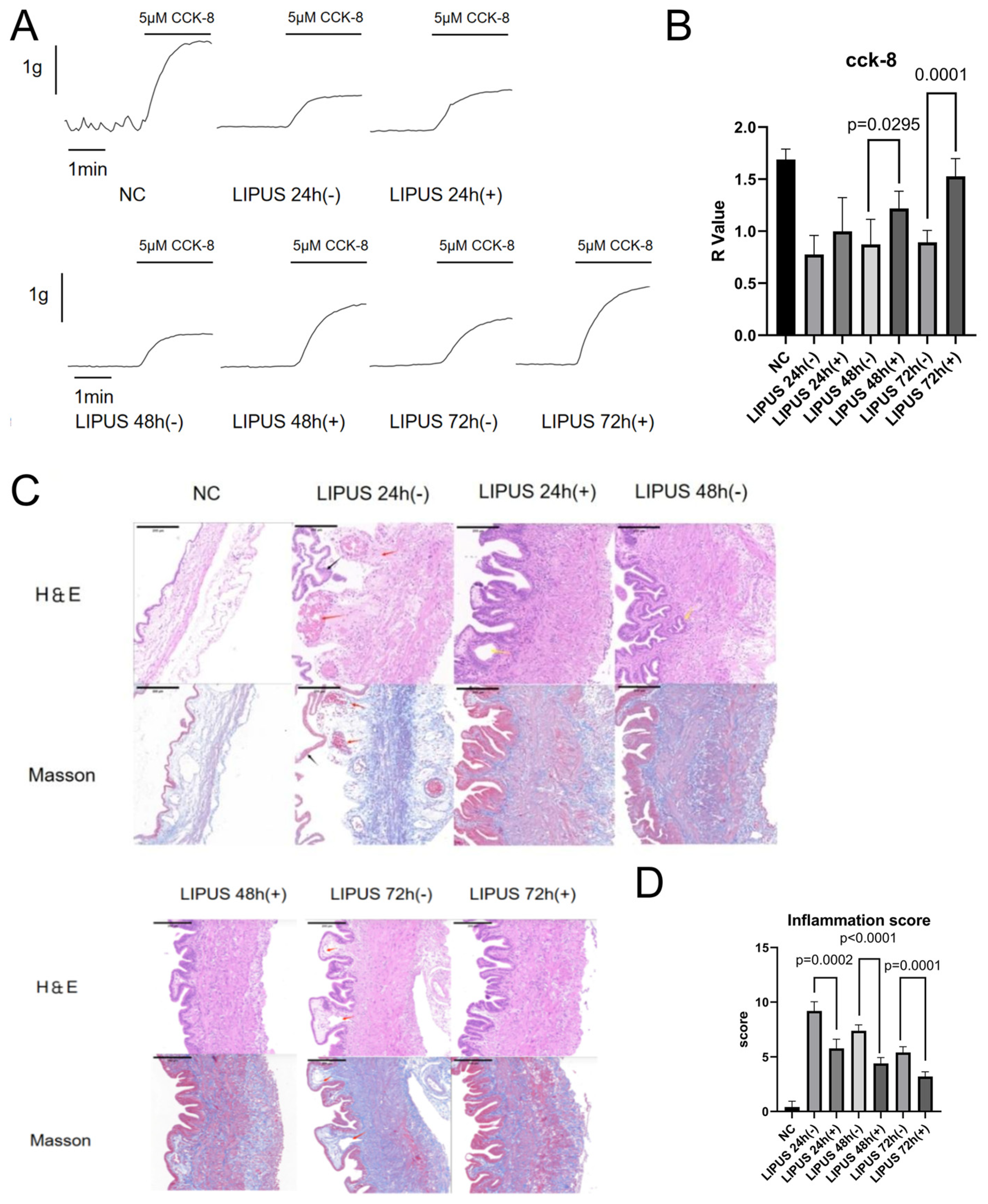 Bioengineering 12 01164 g004 Bioengineering 12 01164 g004