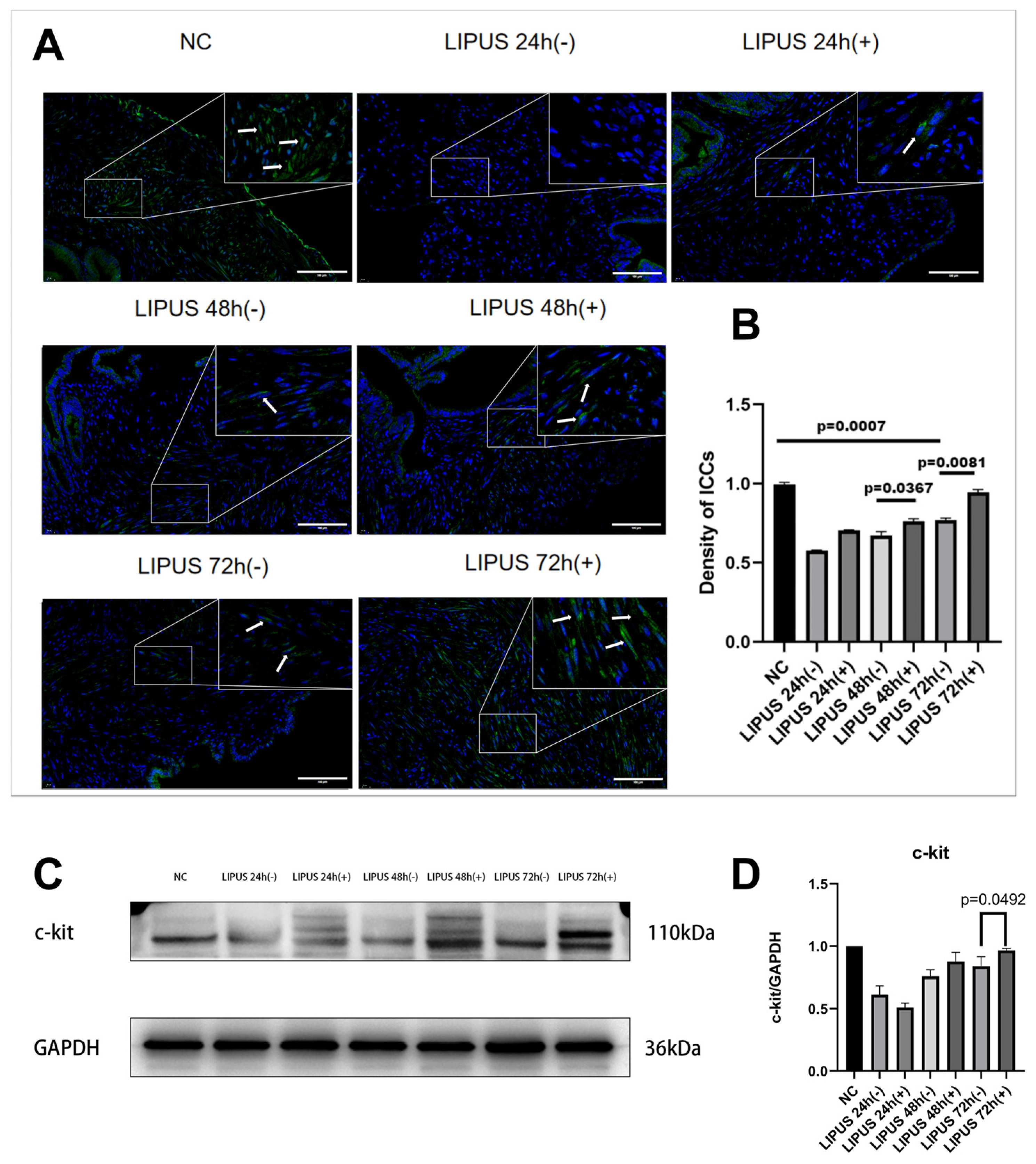 Bioengineering 12 01164 g005 Bioengineering 12 01164 g005