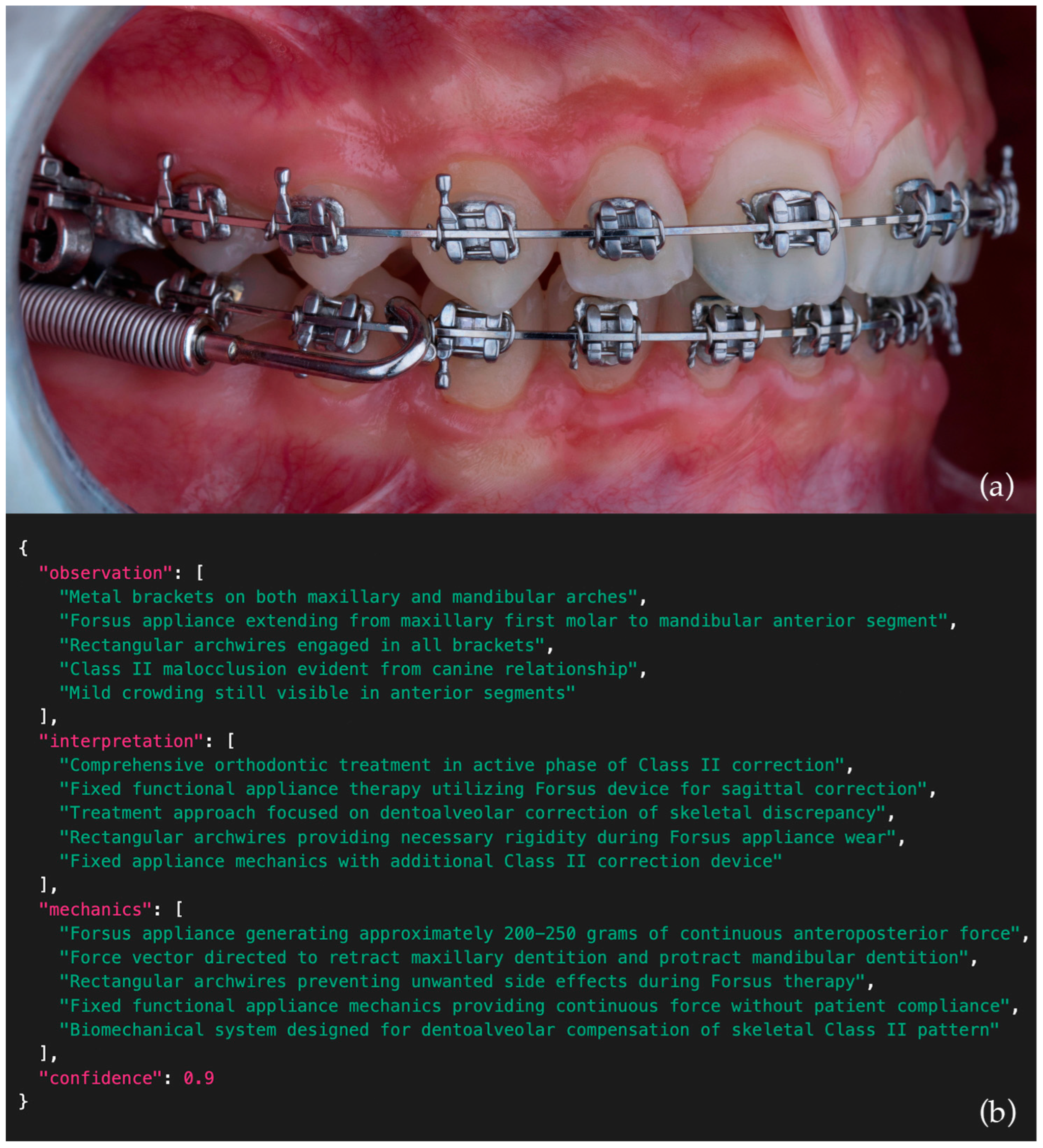 Bioengineering 12 01165 g003
