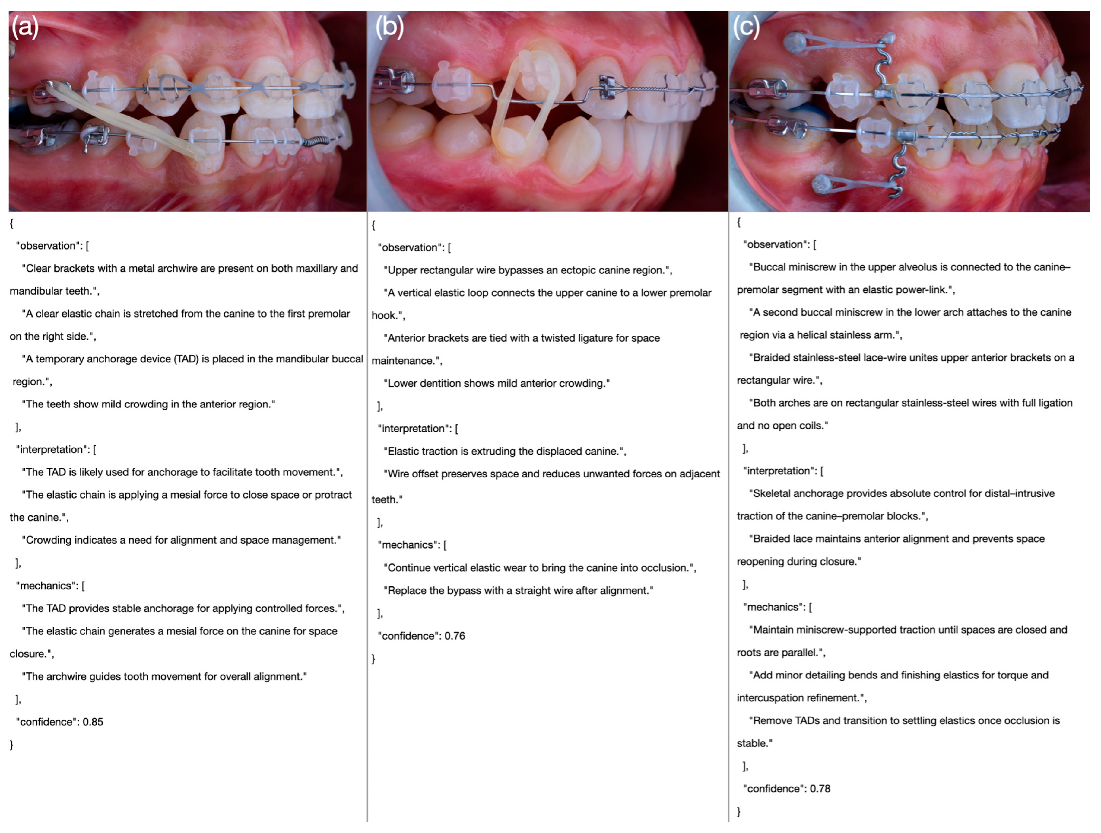 Bioengineering 12 01165 g004