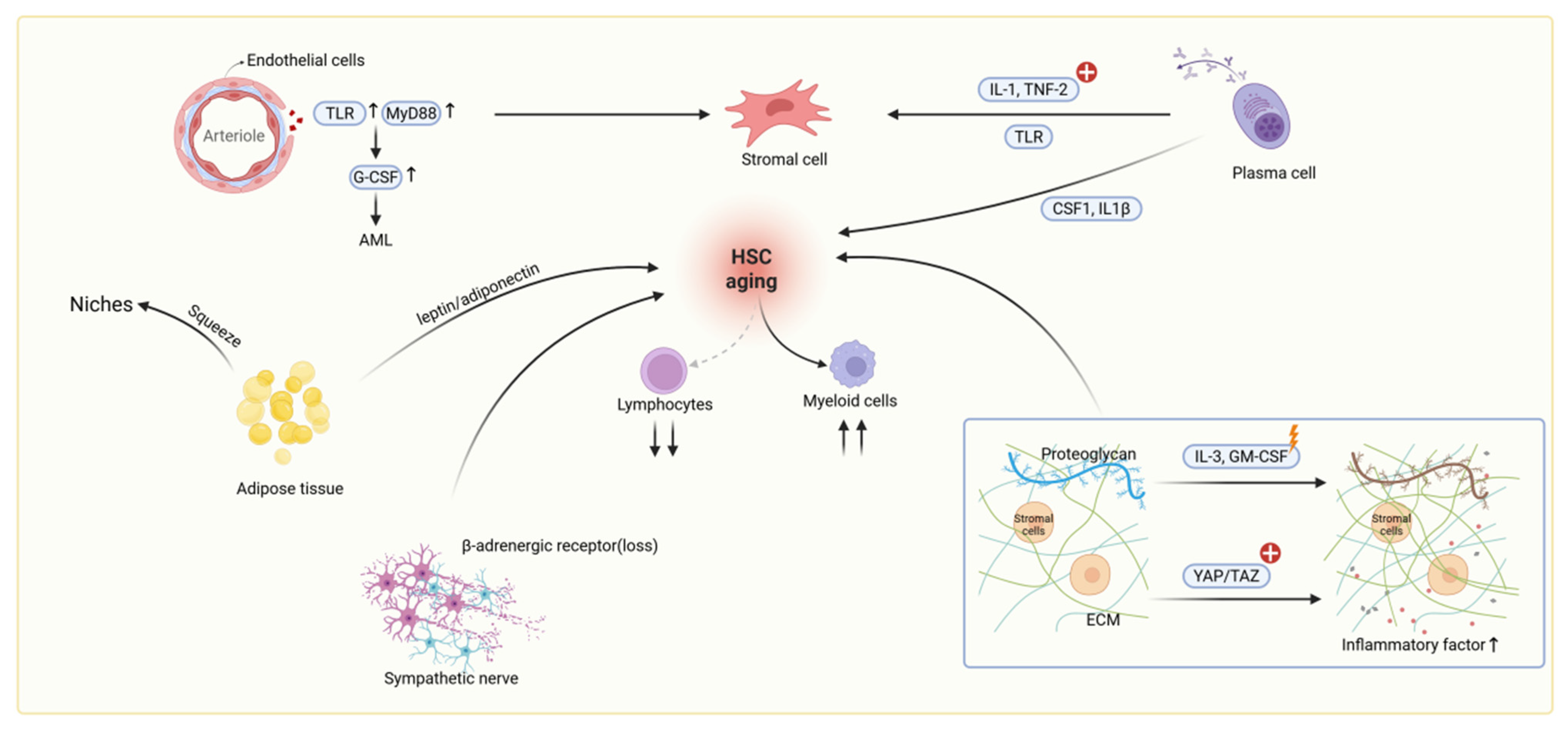 Bioengineering 12 01166 g003 Bioengineering 12 01166 g003