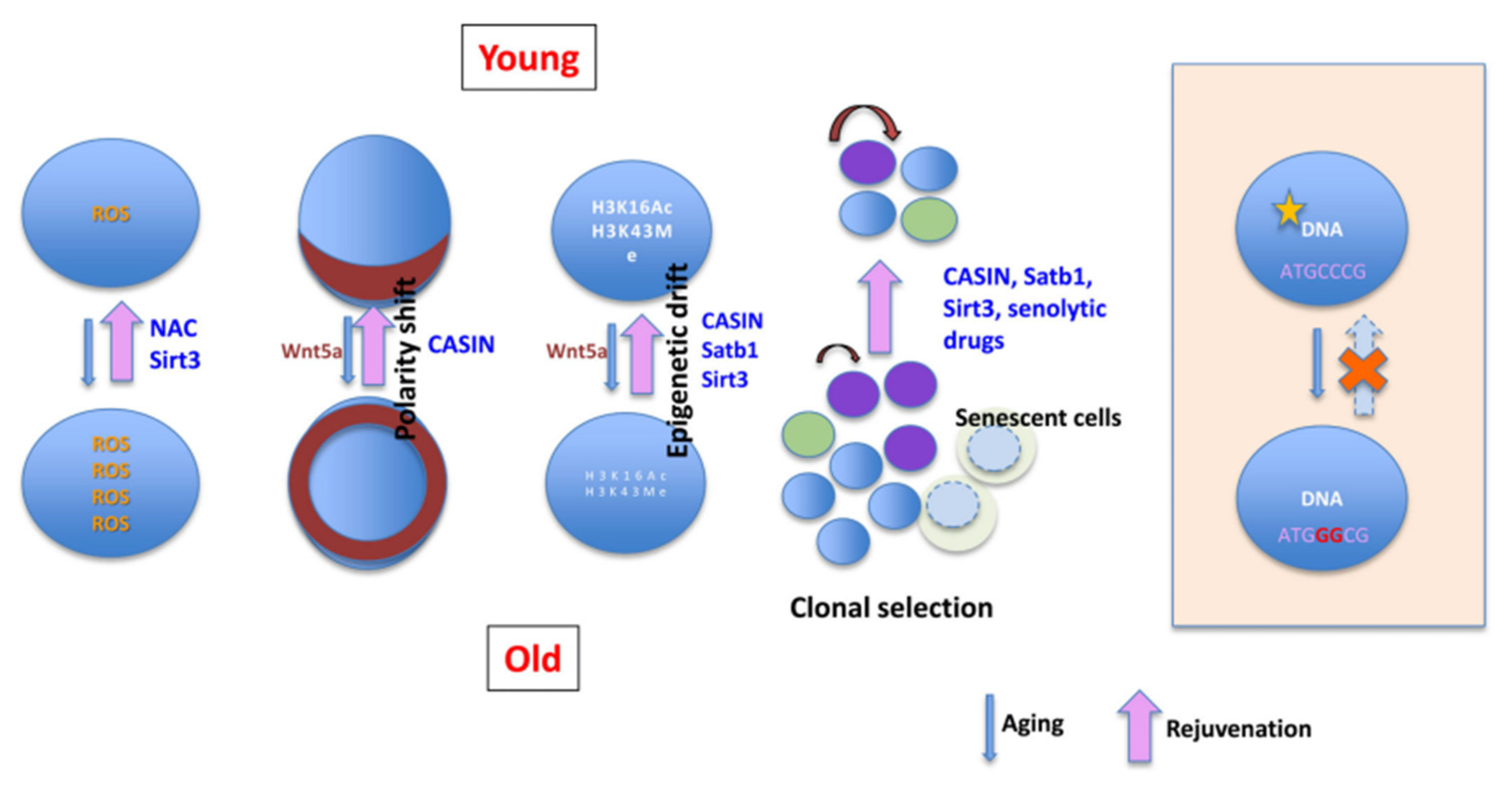 Bioengineering 12 01166 g004 Bioengineering 12 01166 g004