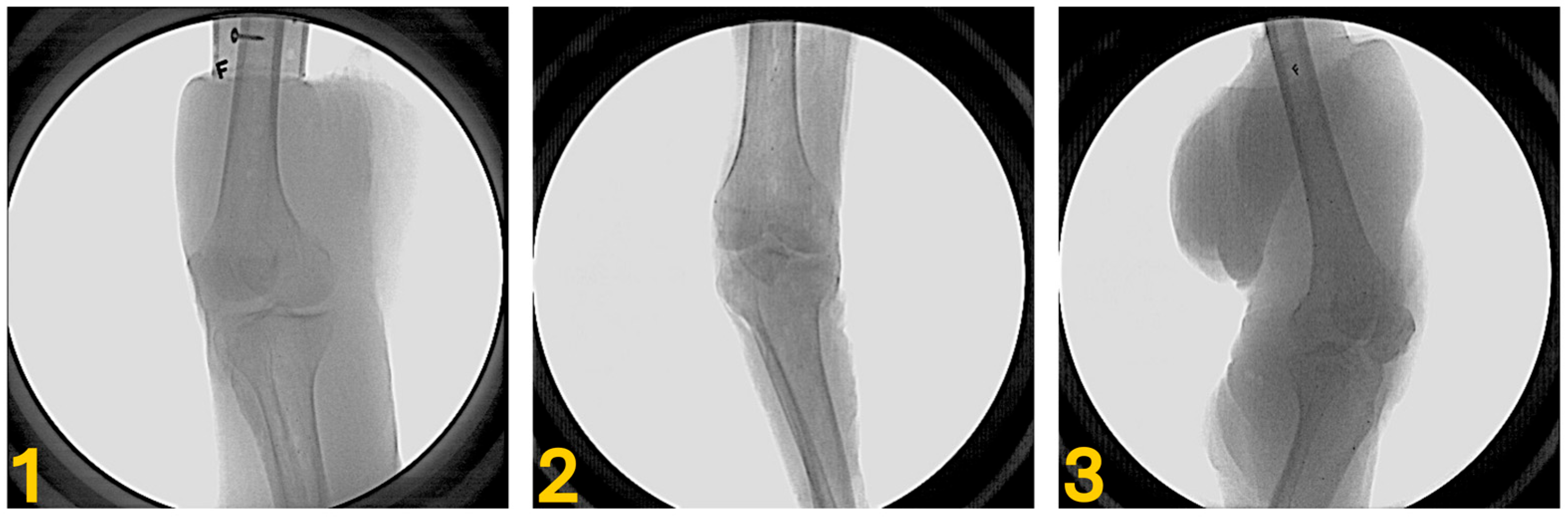 Bioengineering 12 01168 g001 Bioengineering 12 01168 g001