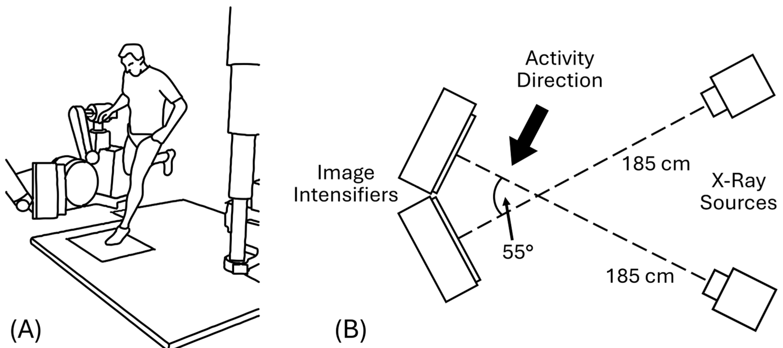 Bioengineering 12 01168 g002 Bioengineering 12 01168 g002