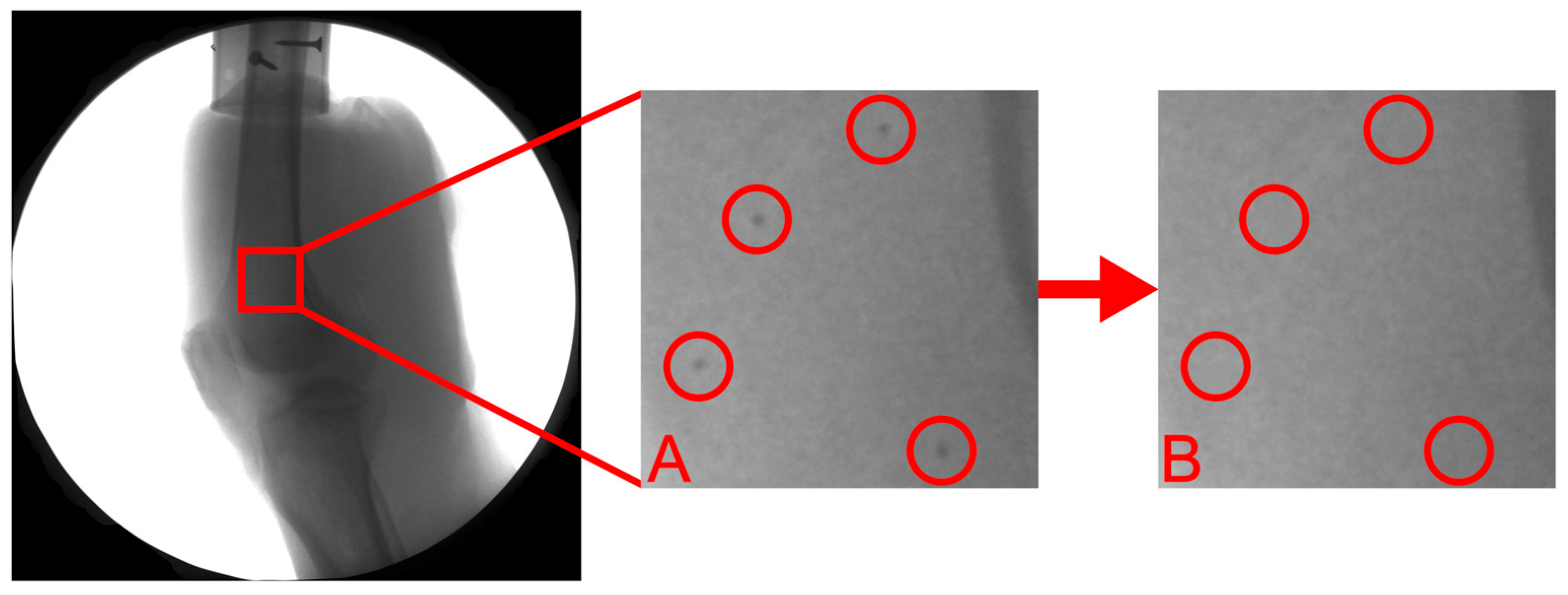 Bioengineering 12 01168 g003 Bioengineering 12 01168 g003