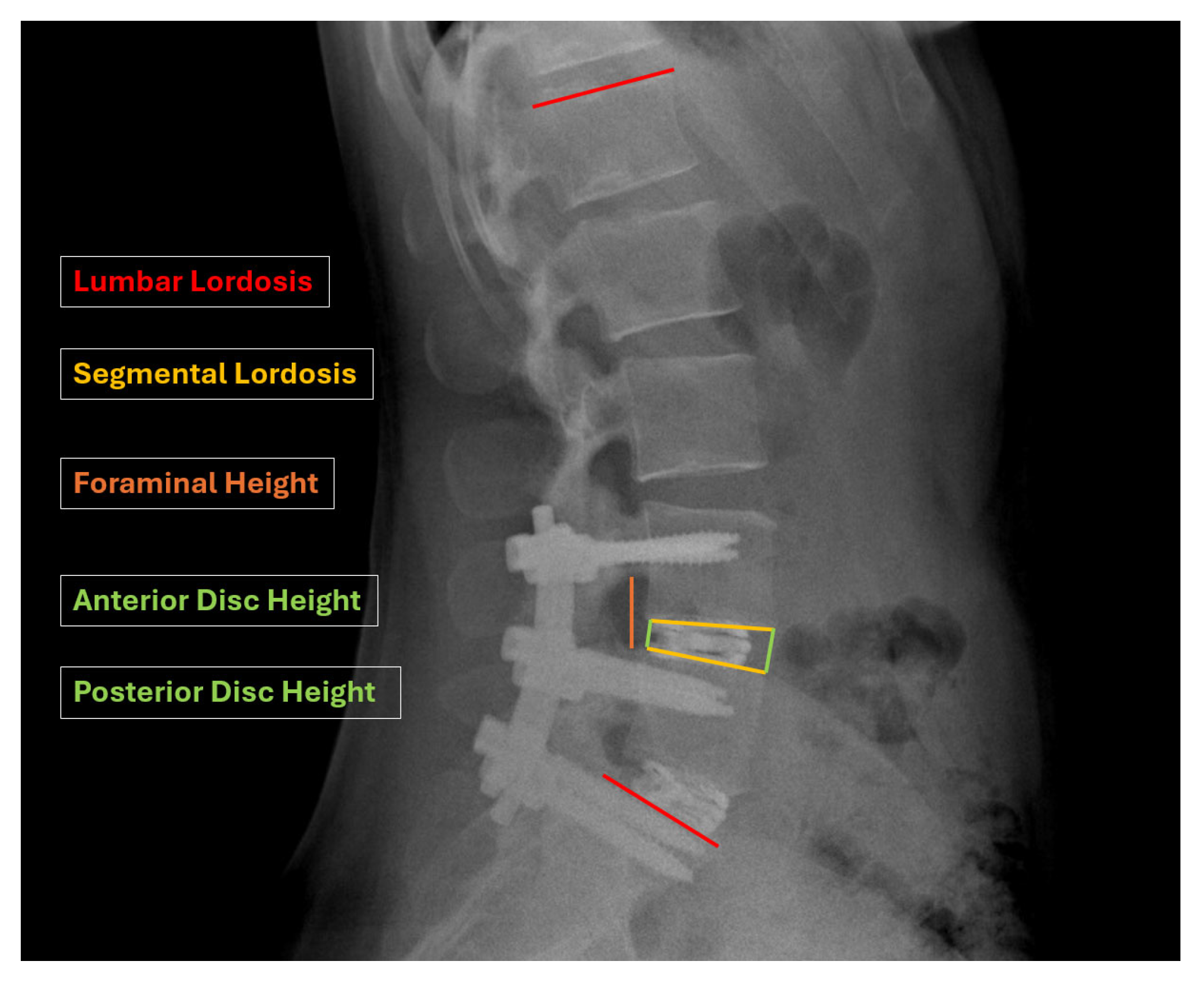 Bioengineering 12 01169 g003 Bioengineering 12 01169 g003