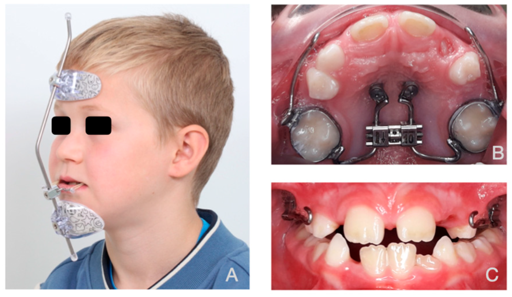 Bioengineering 12 01173 g001