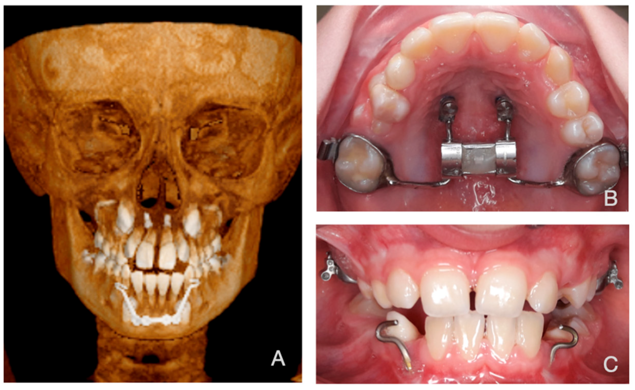 Bioengineering 12 01173 g002