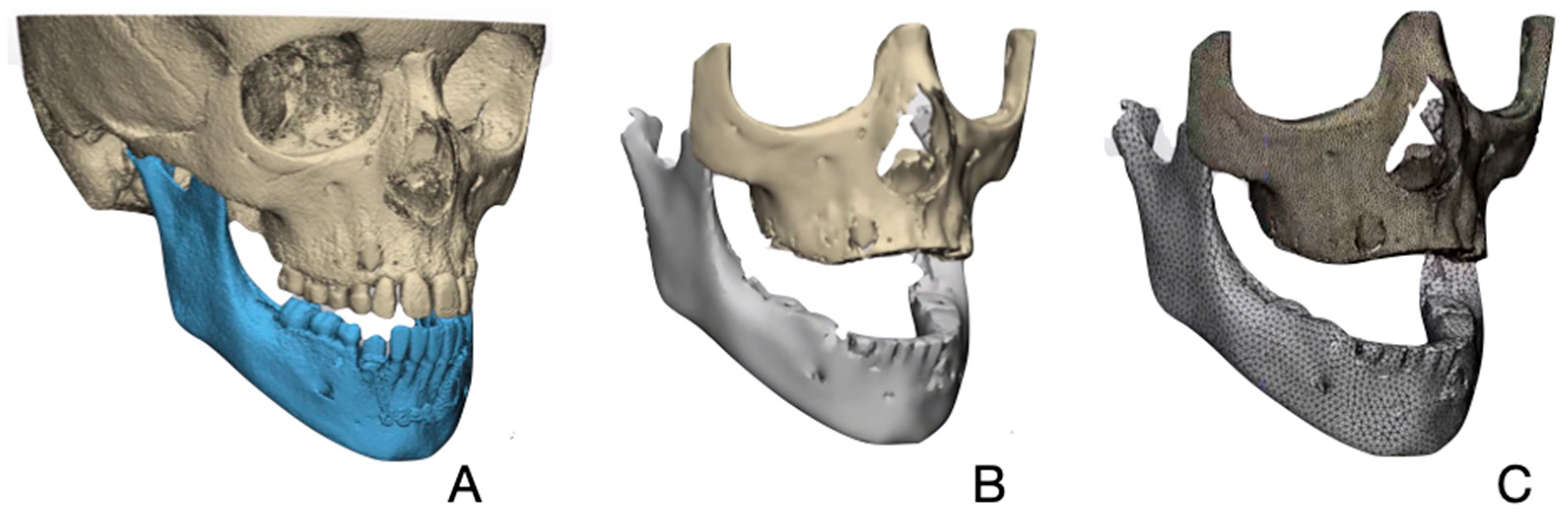 Bioengineering 12 01173 g003
