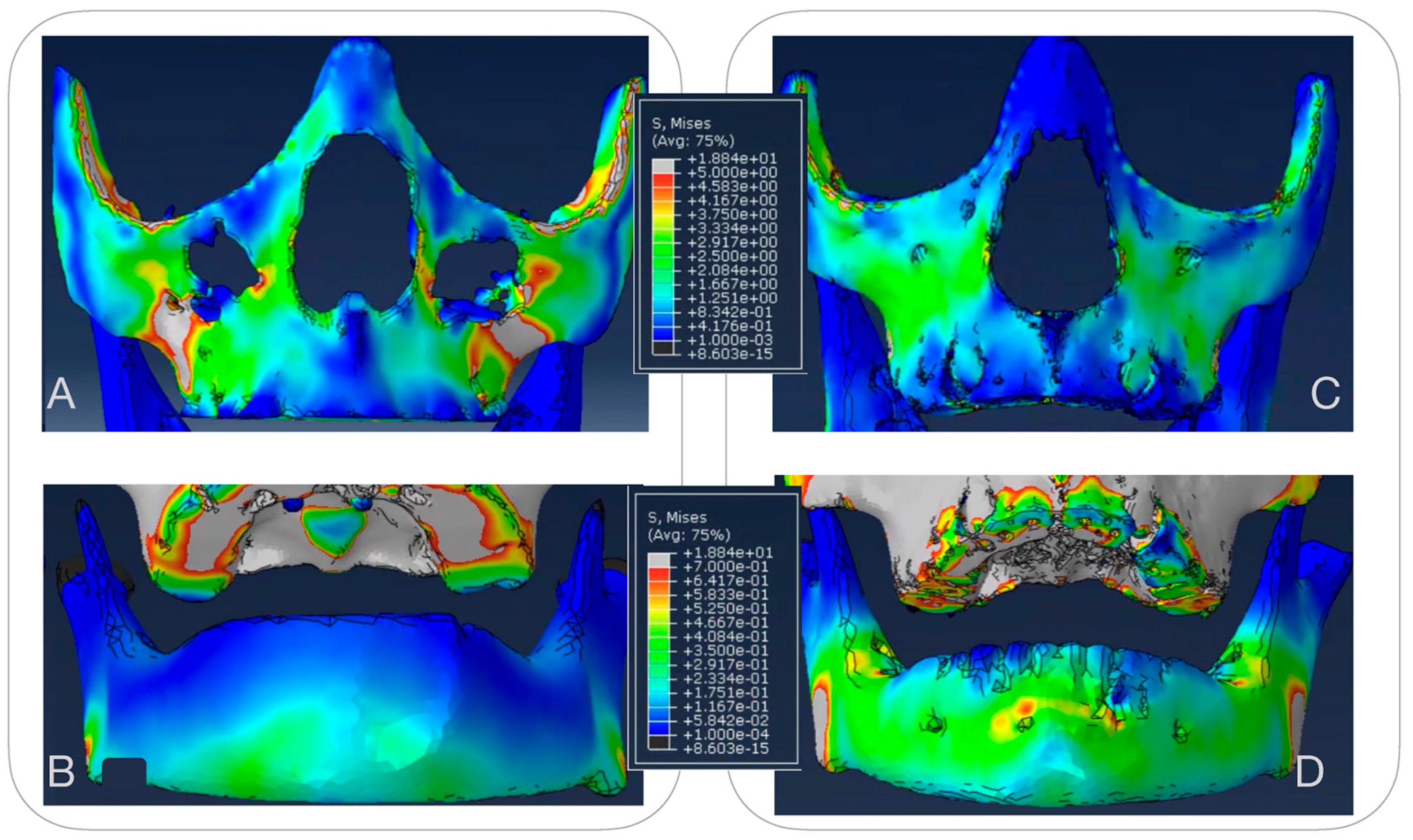 Bioengineering 12 01173 g007