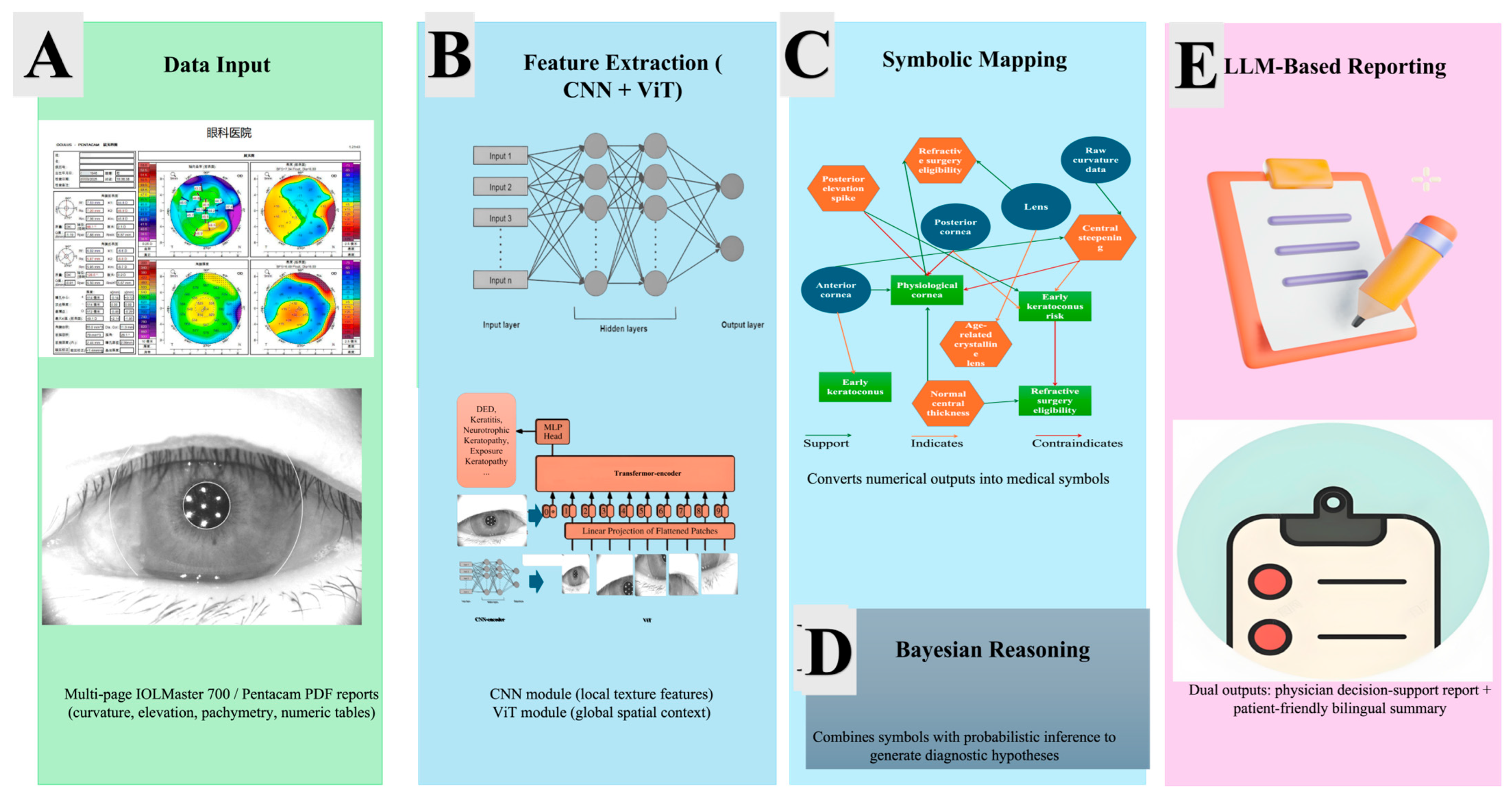 Bioengineering 12 01174 g003