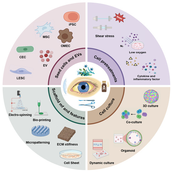 Corneal Epithelial Tissue Engineering Strategy Based on Cell