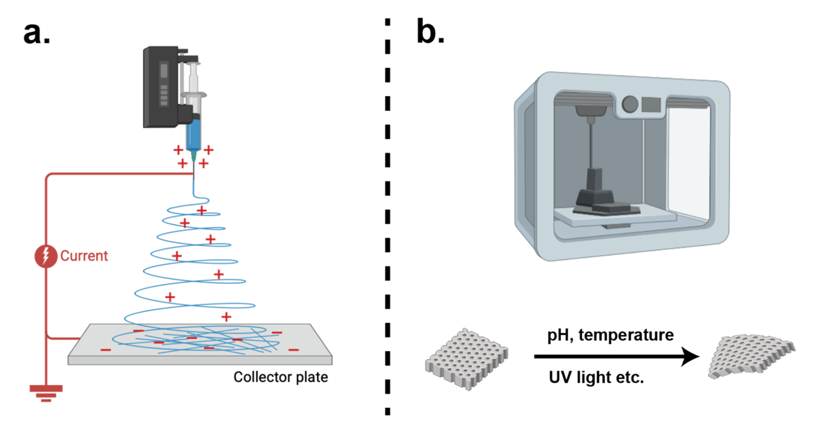Bioengineering 12 01175 g003 Bioengineering 12 01175 g003