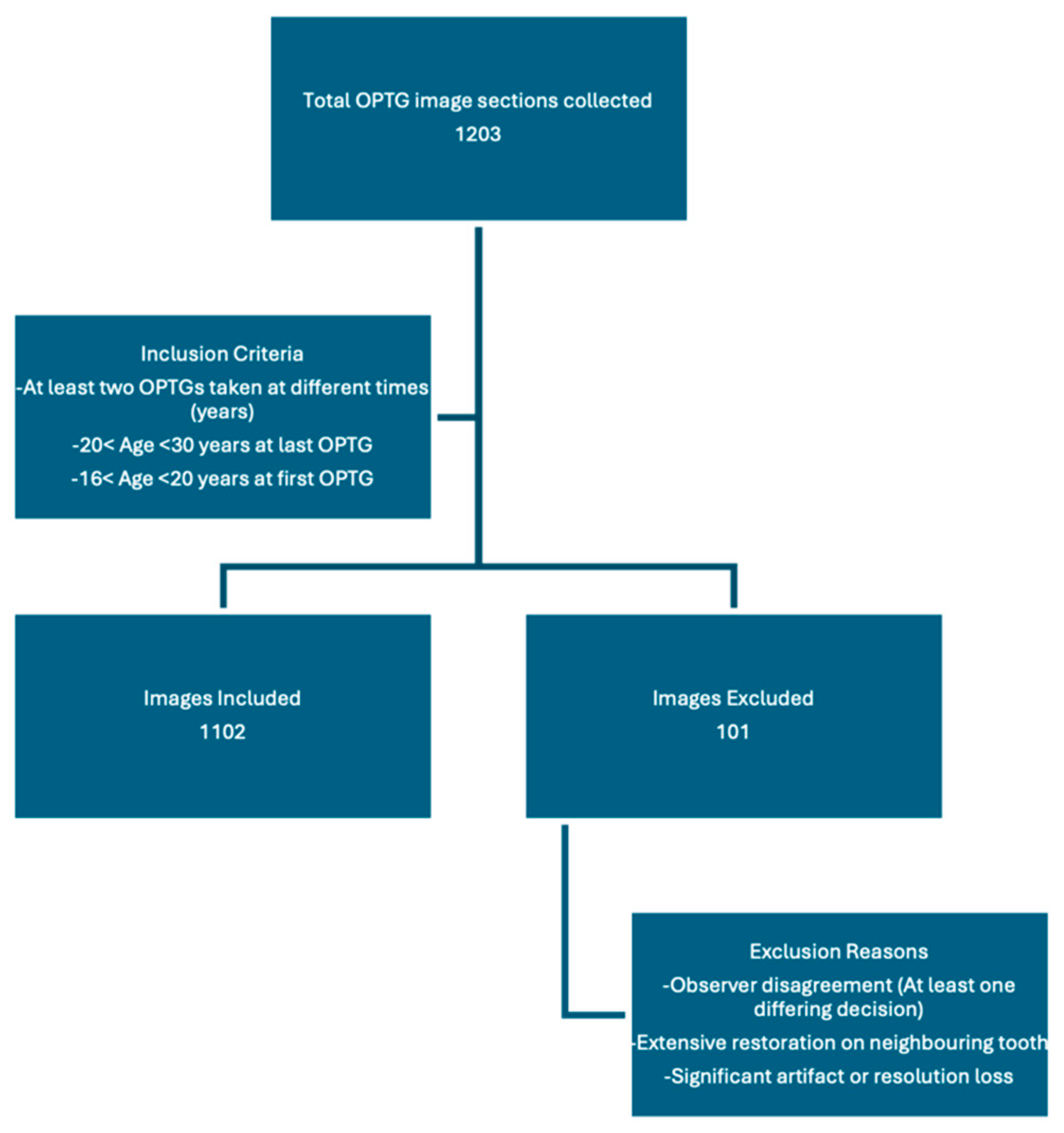 Bioengineering 12 01176 g002 Bioengineering 12 01176 g002