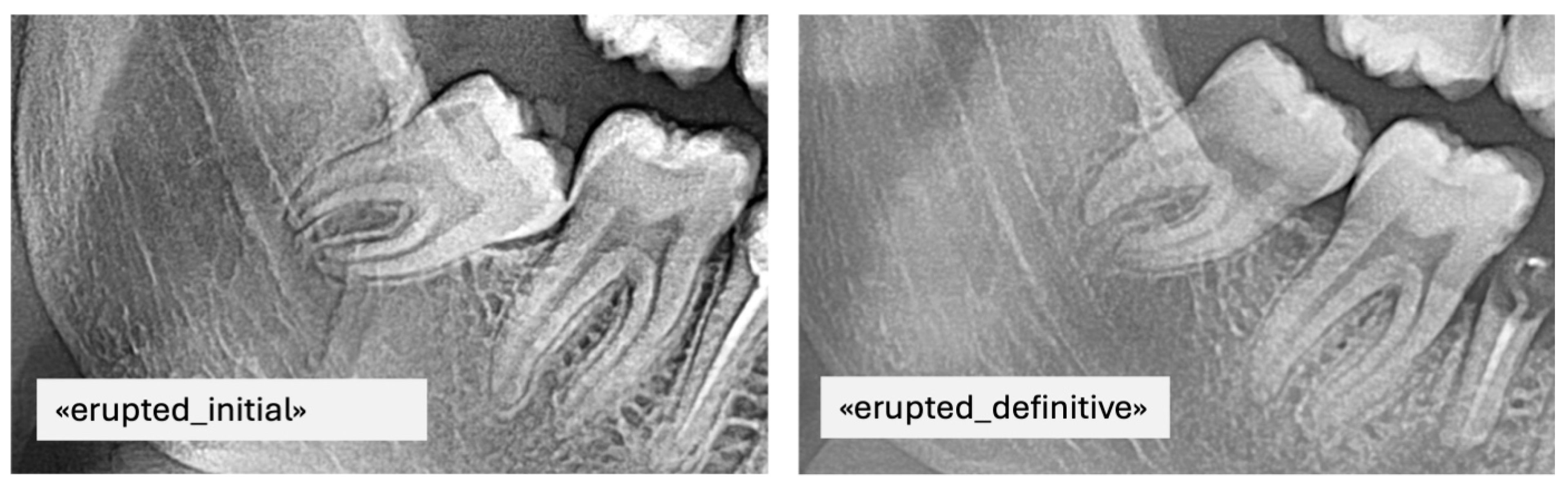 Bioengineering 12 01176 g003 Bioengineering 12 01176 g003