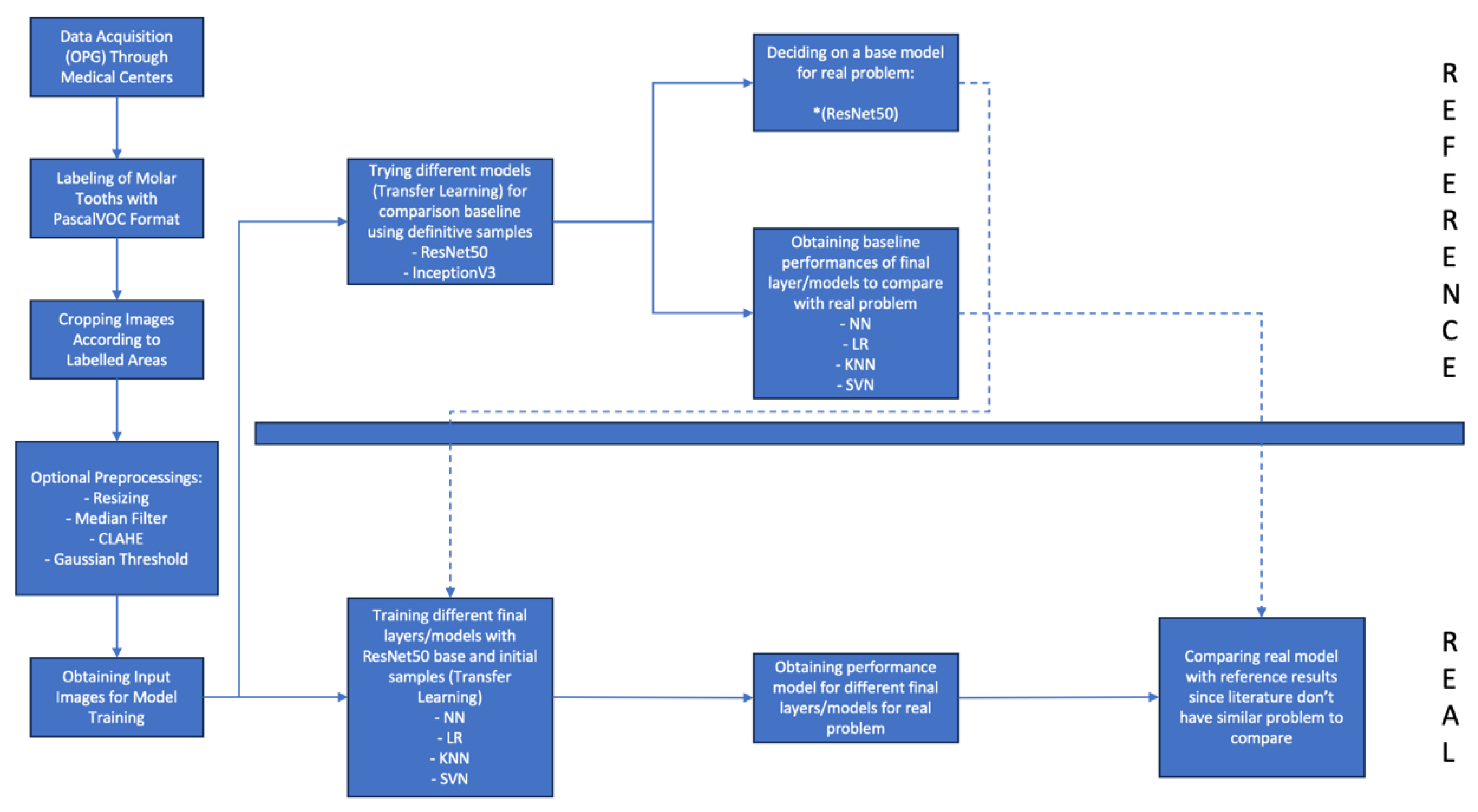 Bioengineering 12 01176 g005 Bioengineering 12 01176 g005