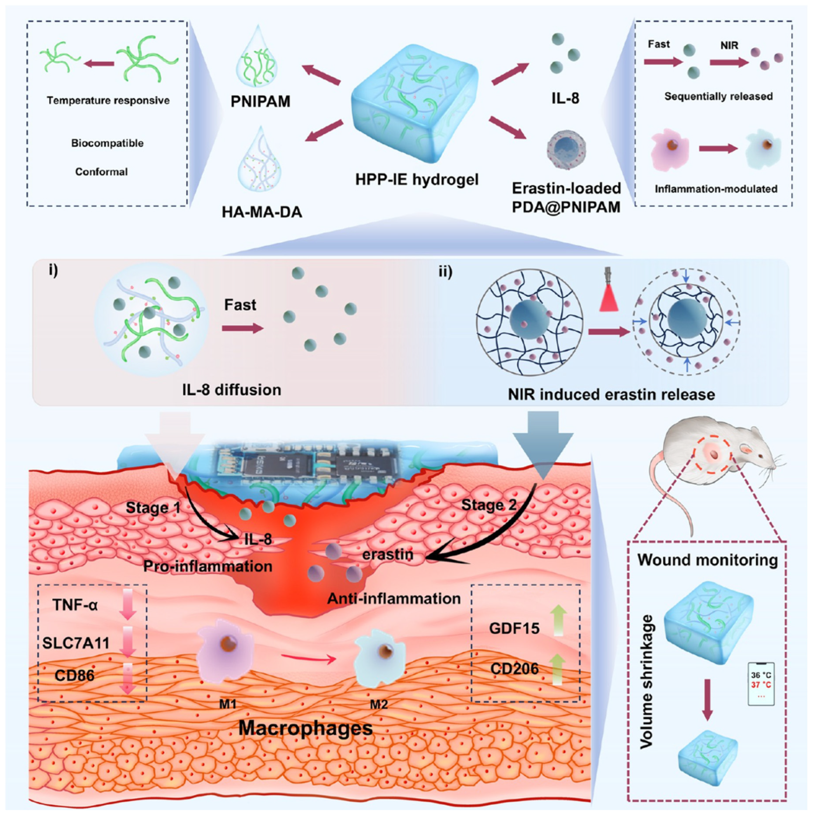Bioengineering 12 01178 g002
