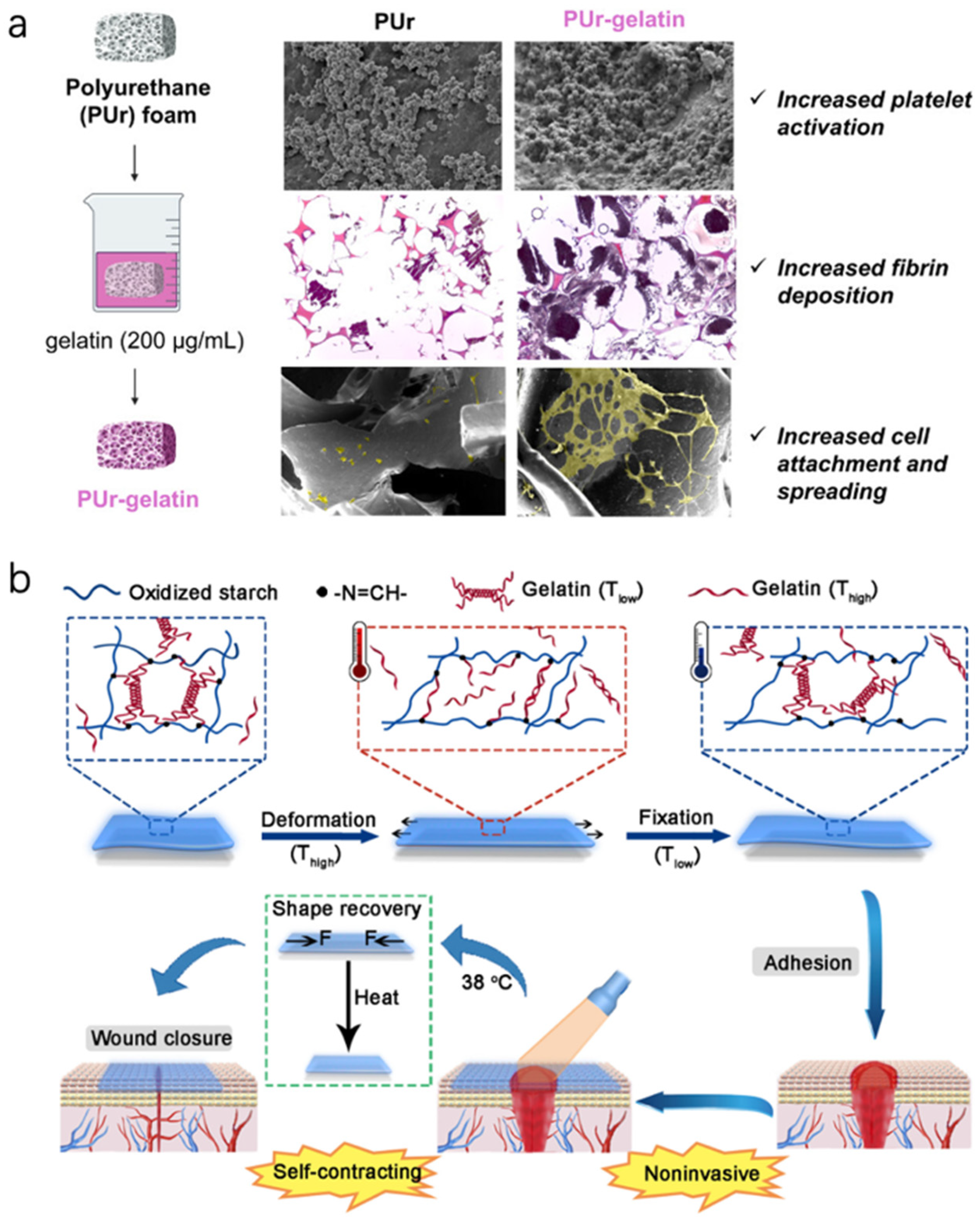 Bioengineering 12 01178 g006