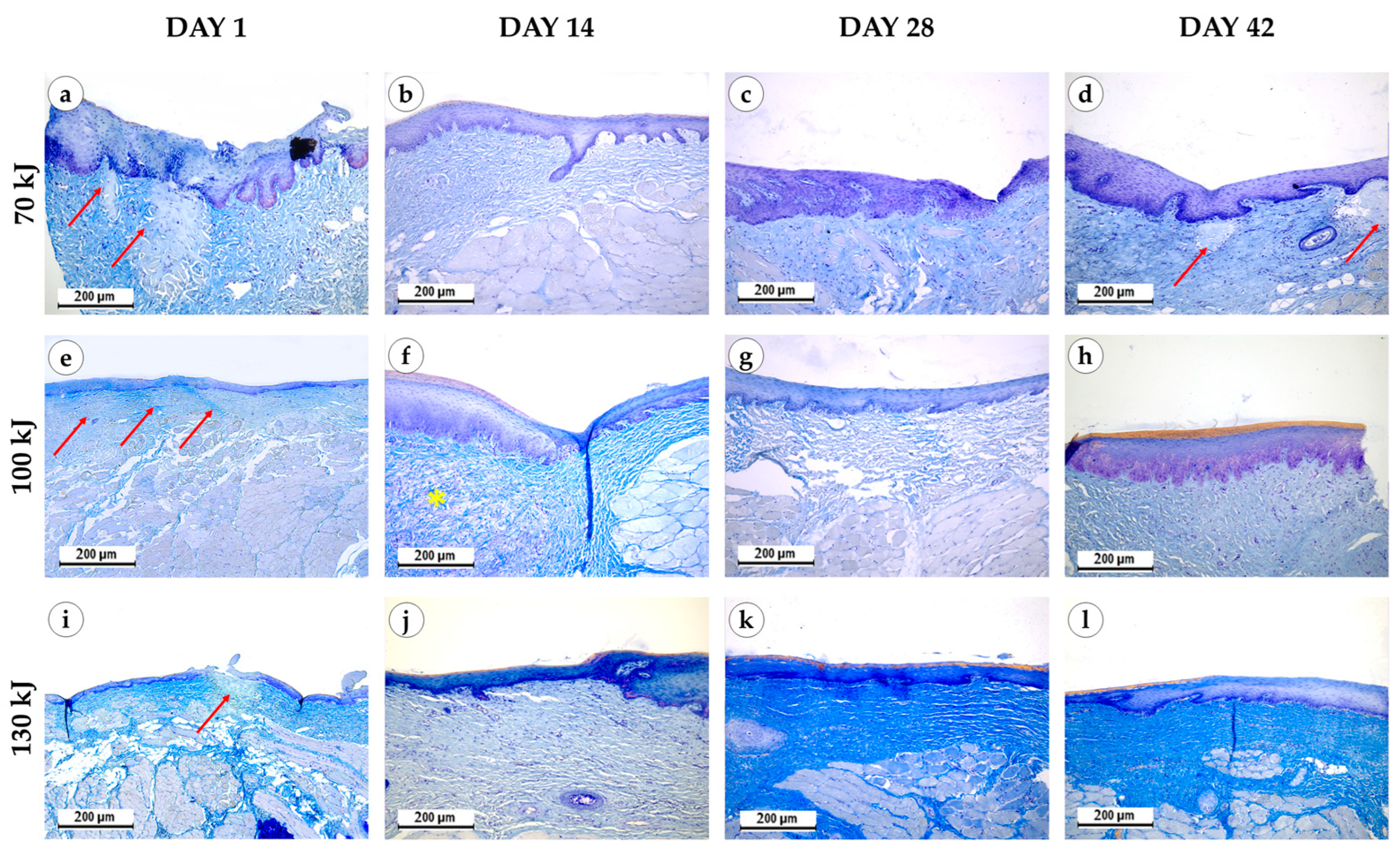 Bioengineering 12 01180 g004