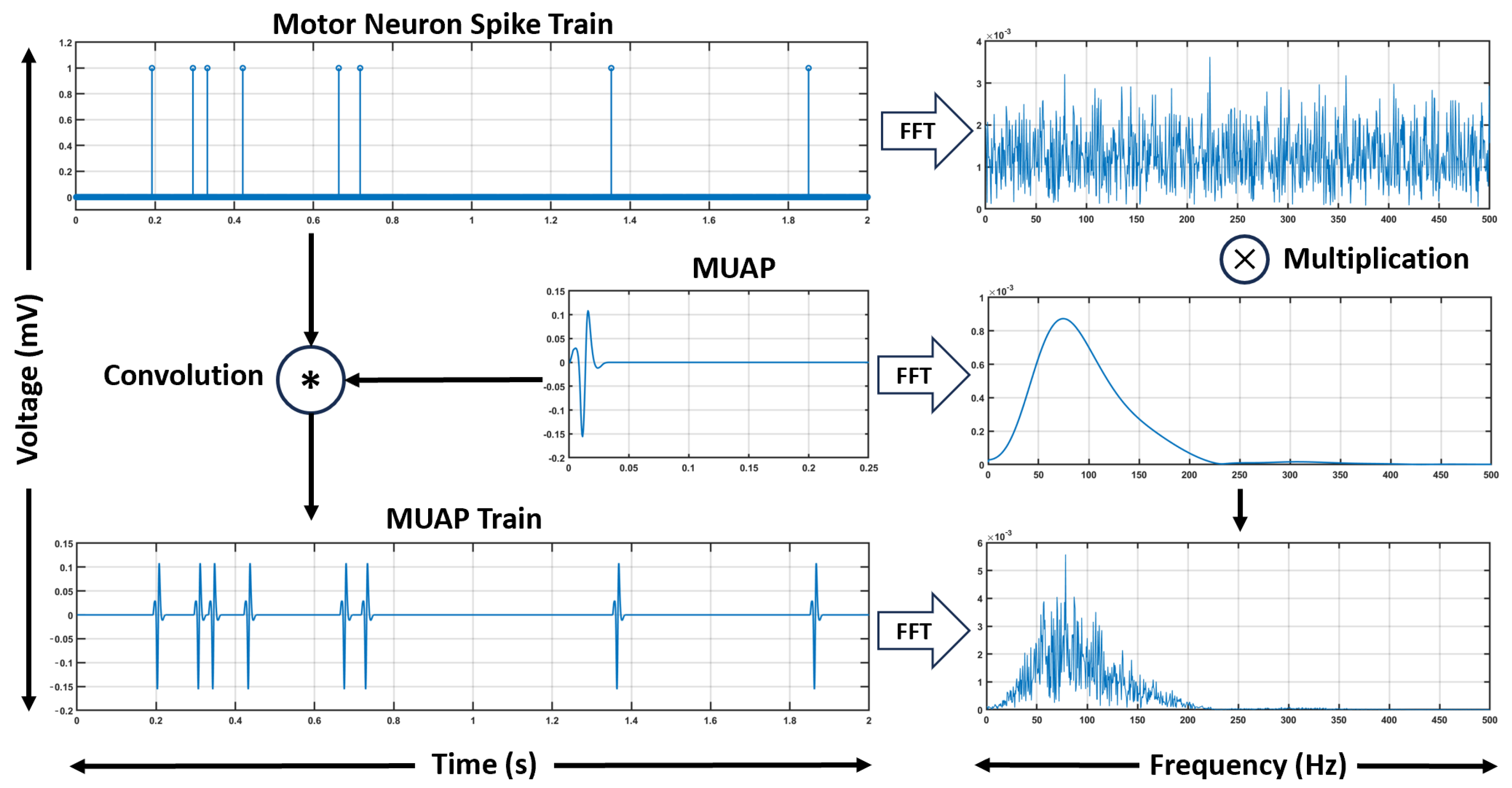 Bioengineering 12 01181 g001