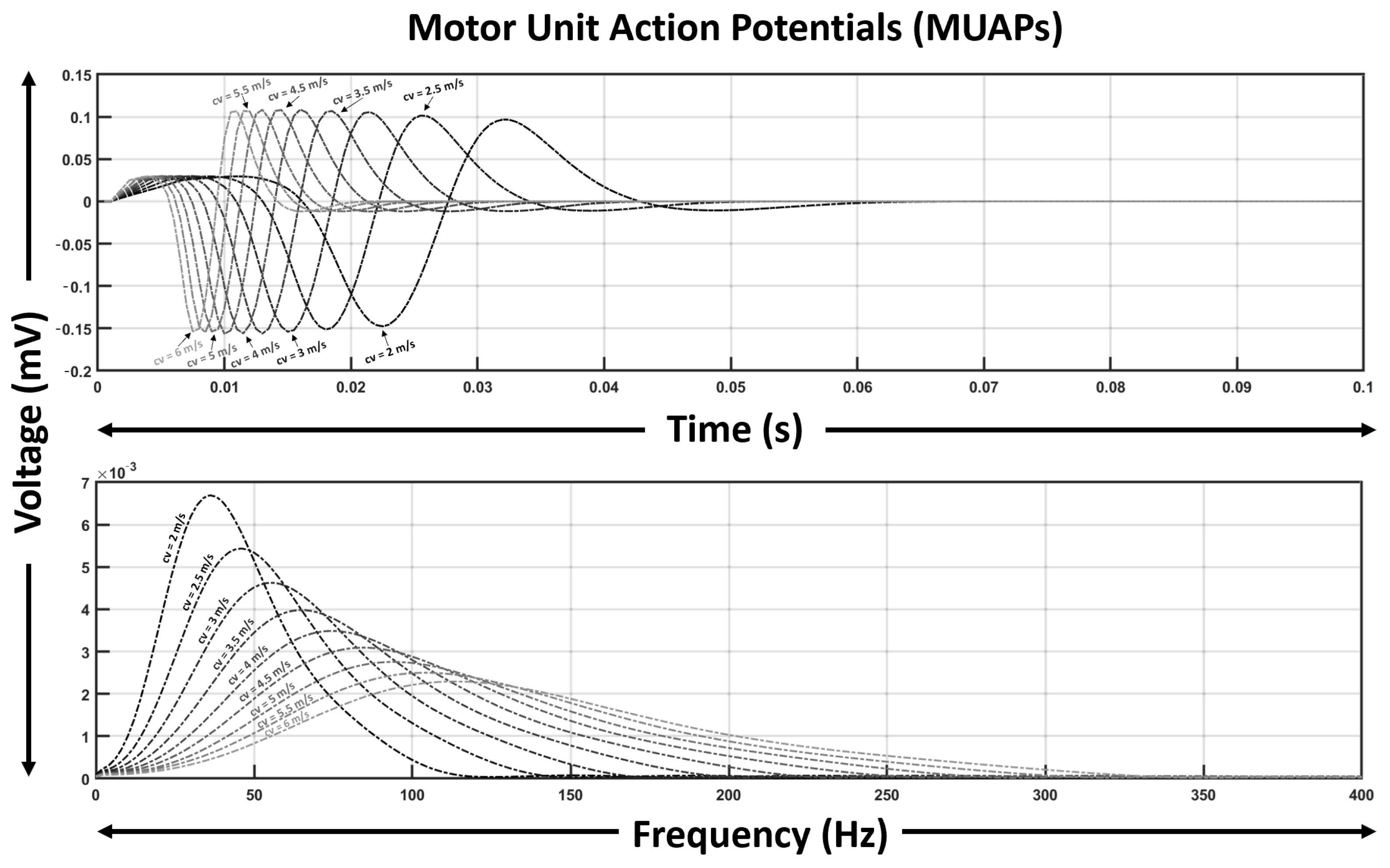Bioengineering 12 01181 g002