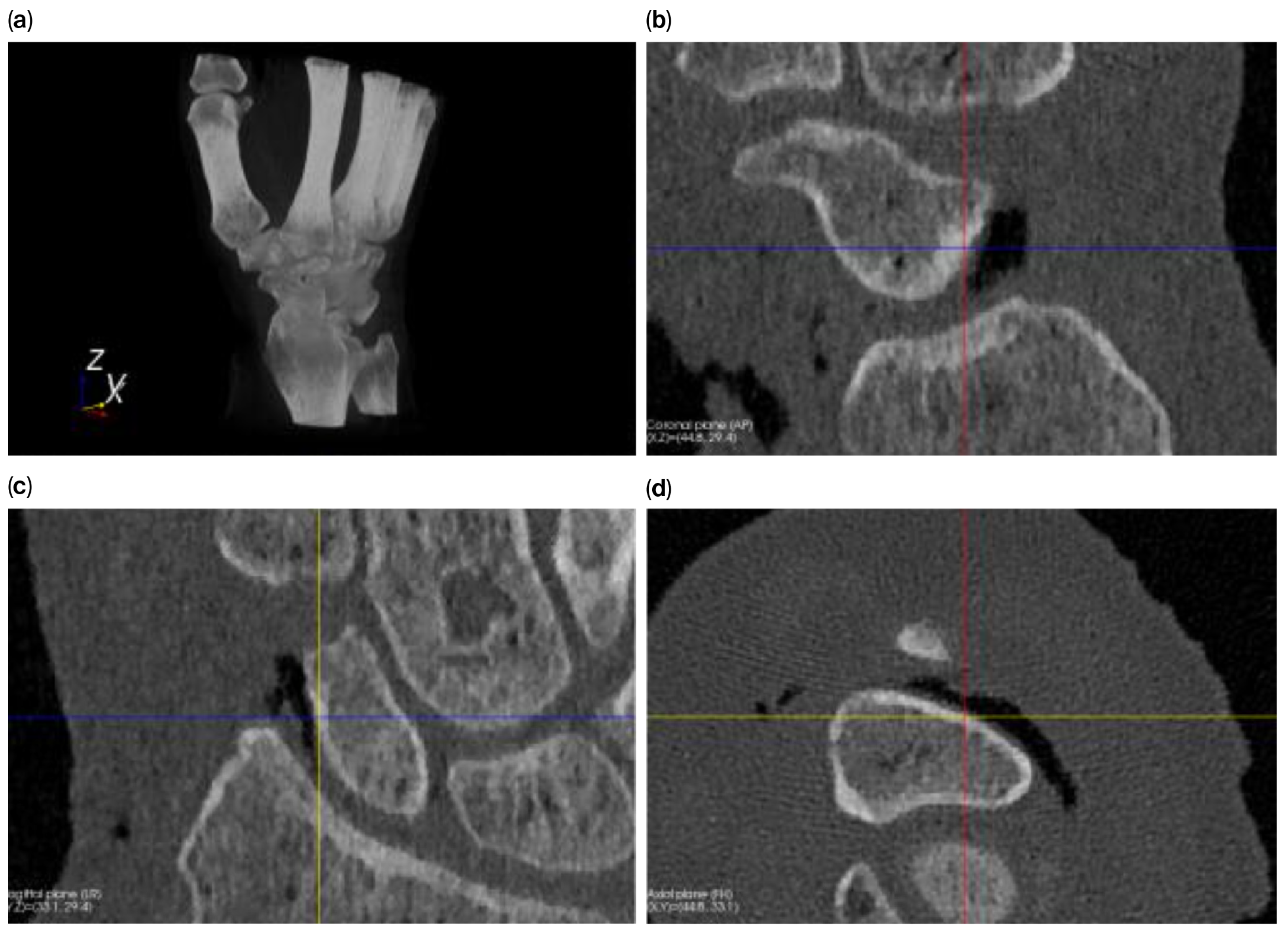 Bioengineering 12 01183 g001