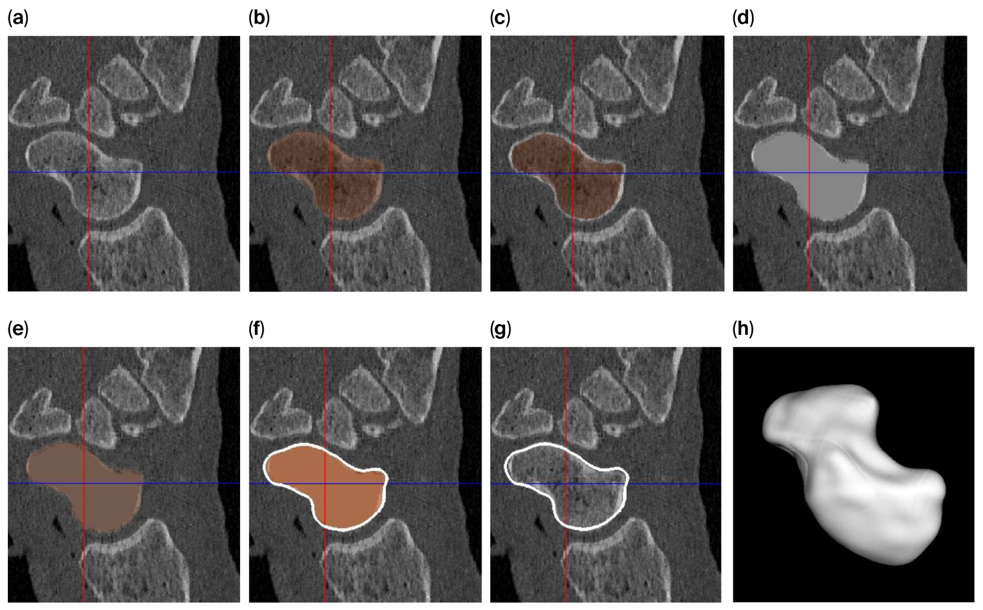 Bioengineering 12 01183 g002