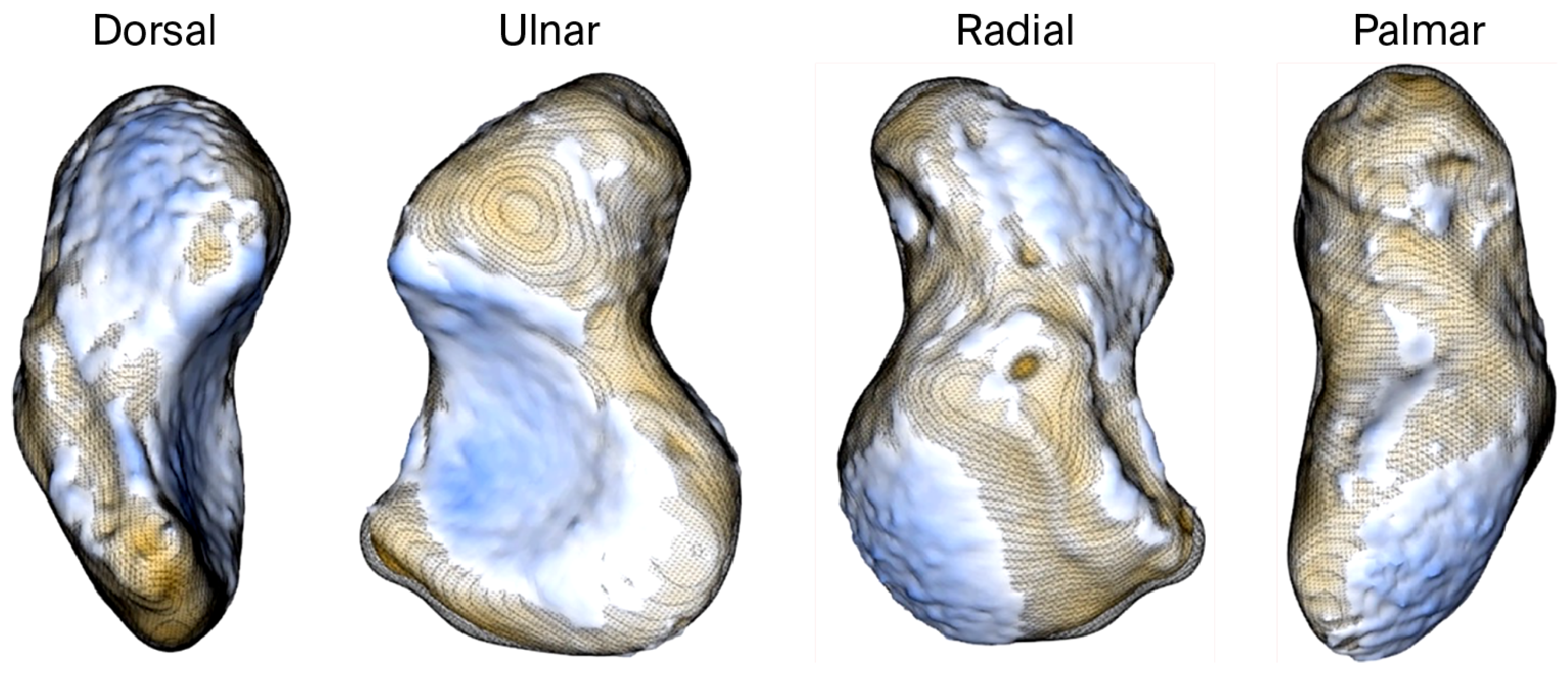Bioengineering 12 01183 g003