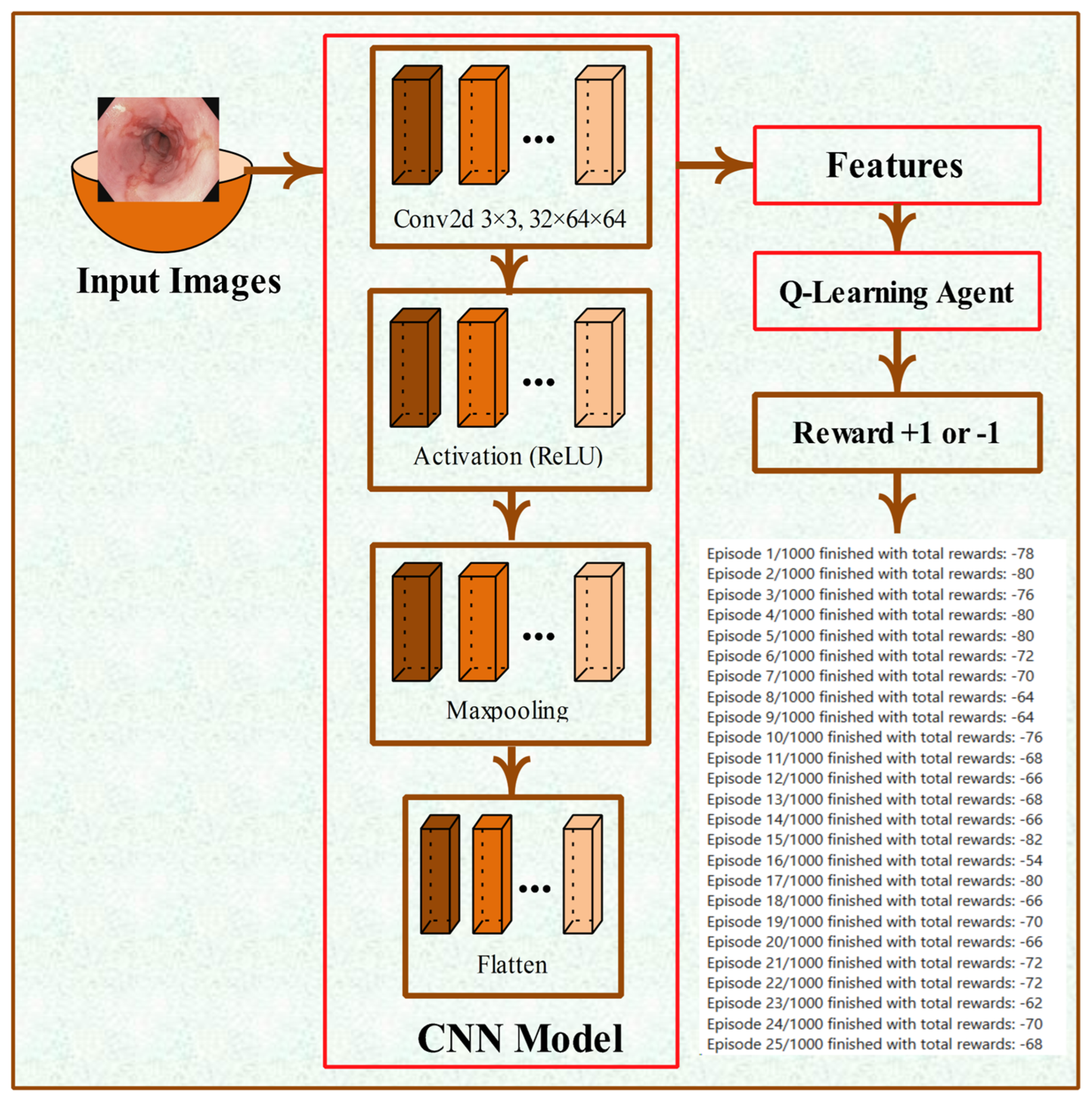 Bioengineering 12 01184 g002