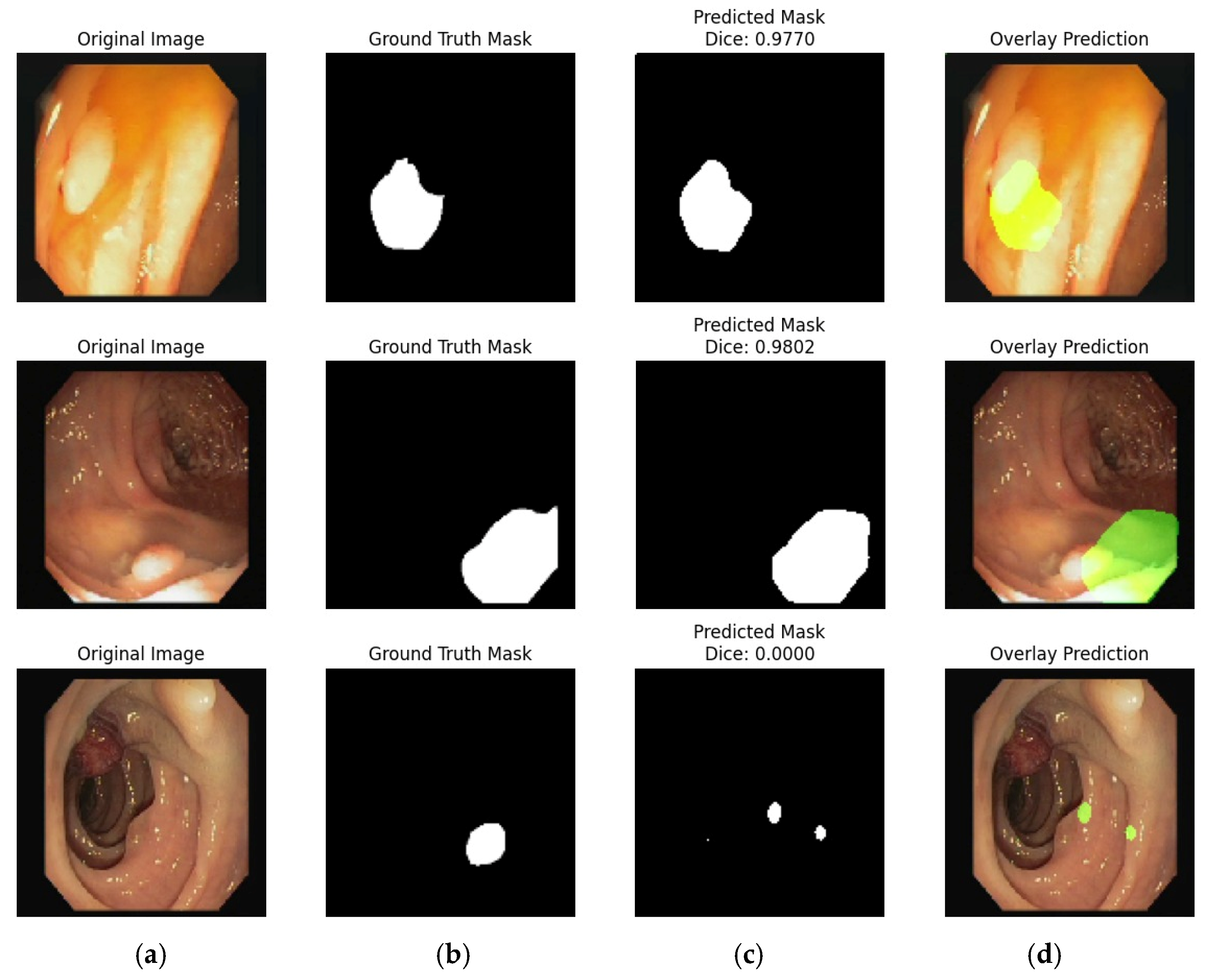 Bioengineering 12 01184 g009