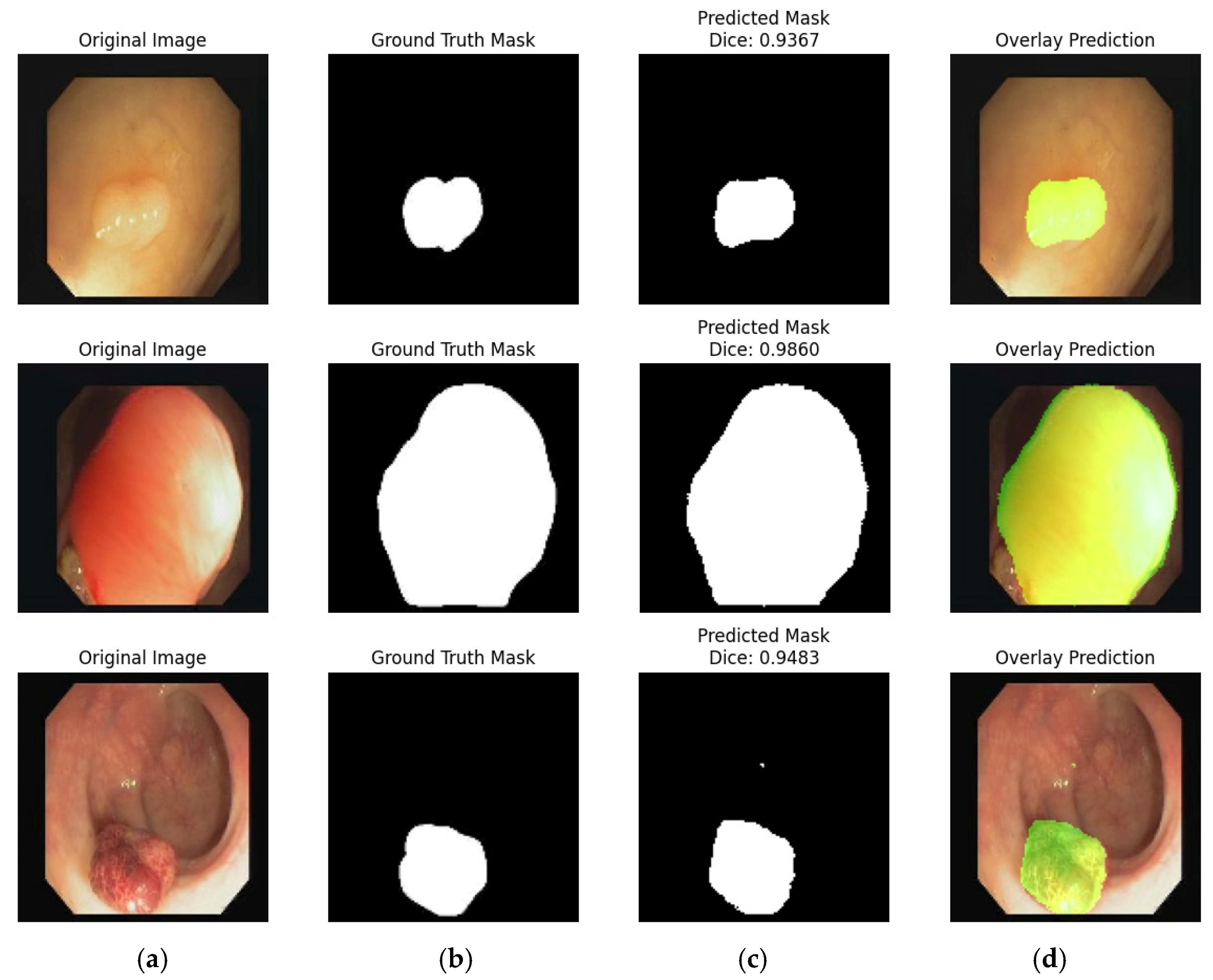 Bioengineering 12 01184 g010