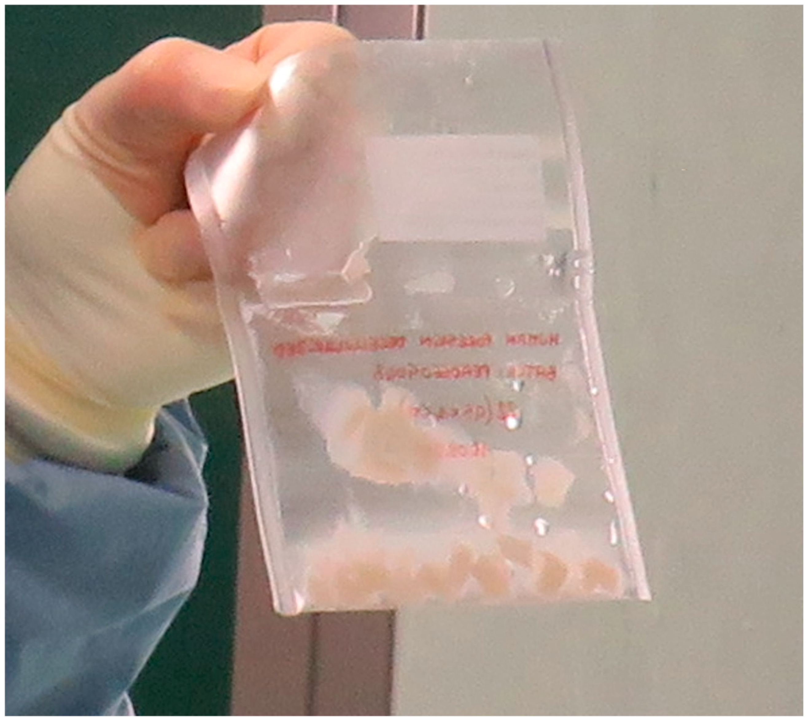 Bioengineering 12 01186 g001