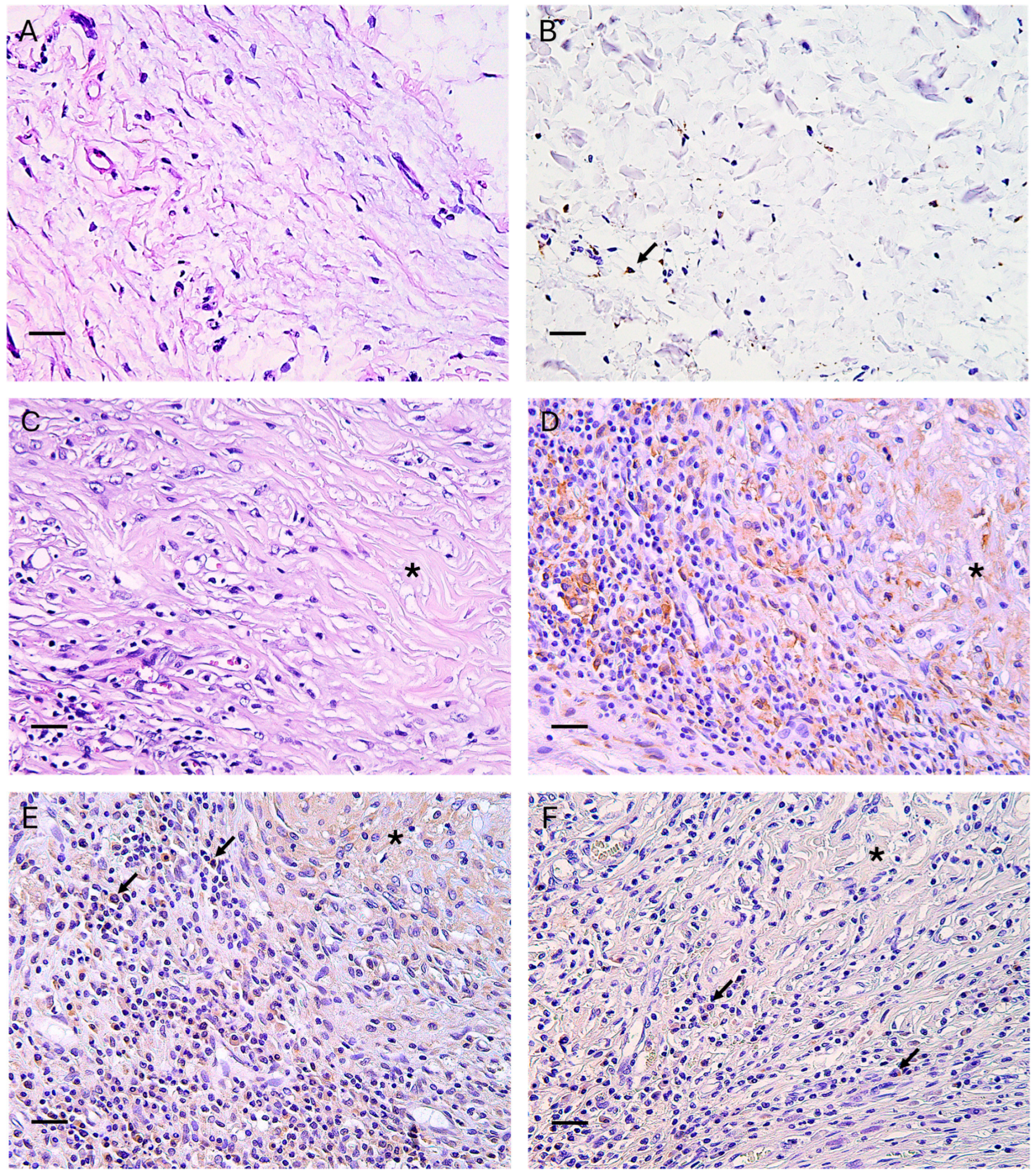 Bioengineering 12 01186 g005