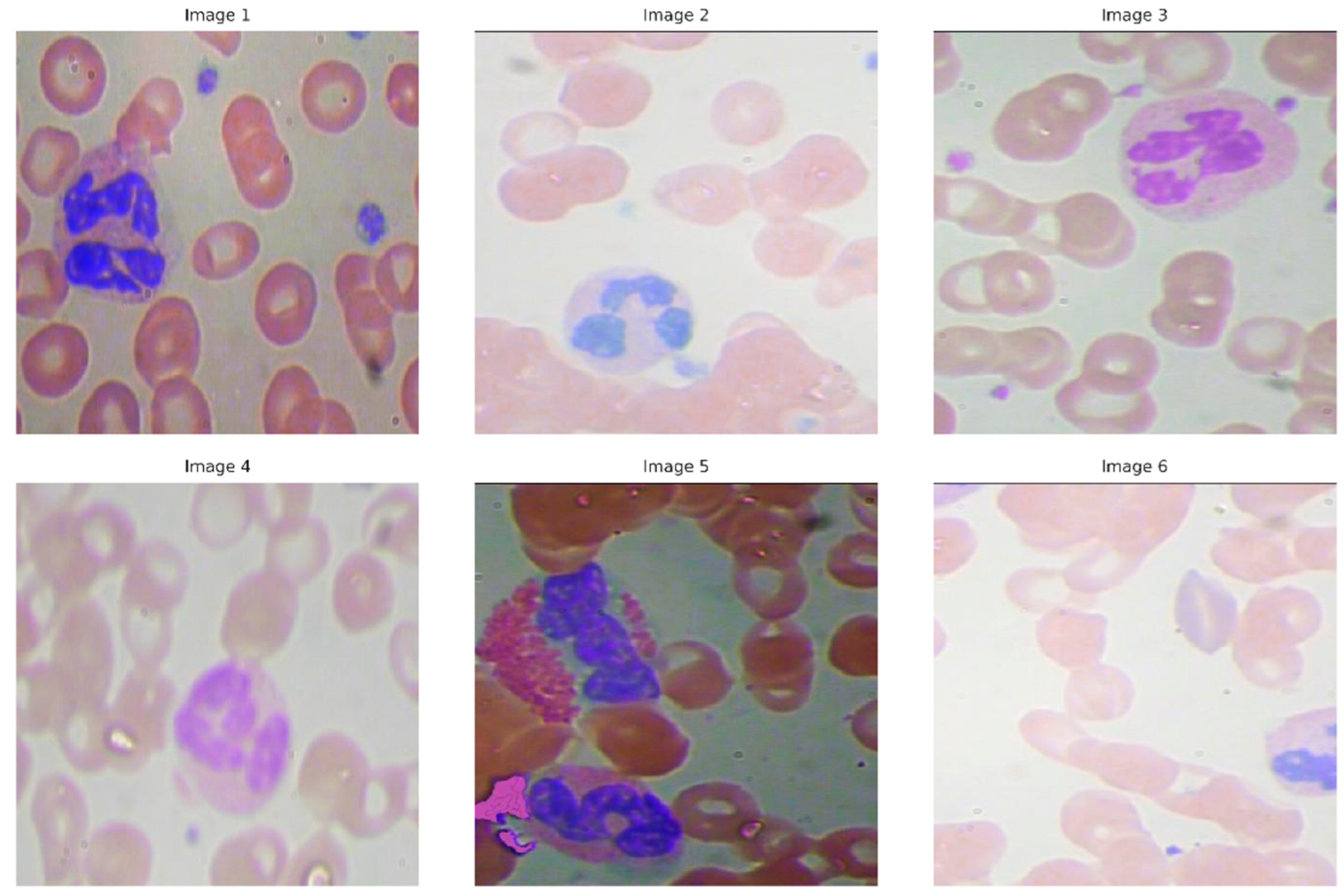 Bioengineering 12 01188 g001