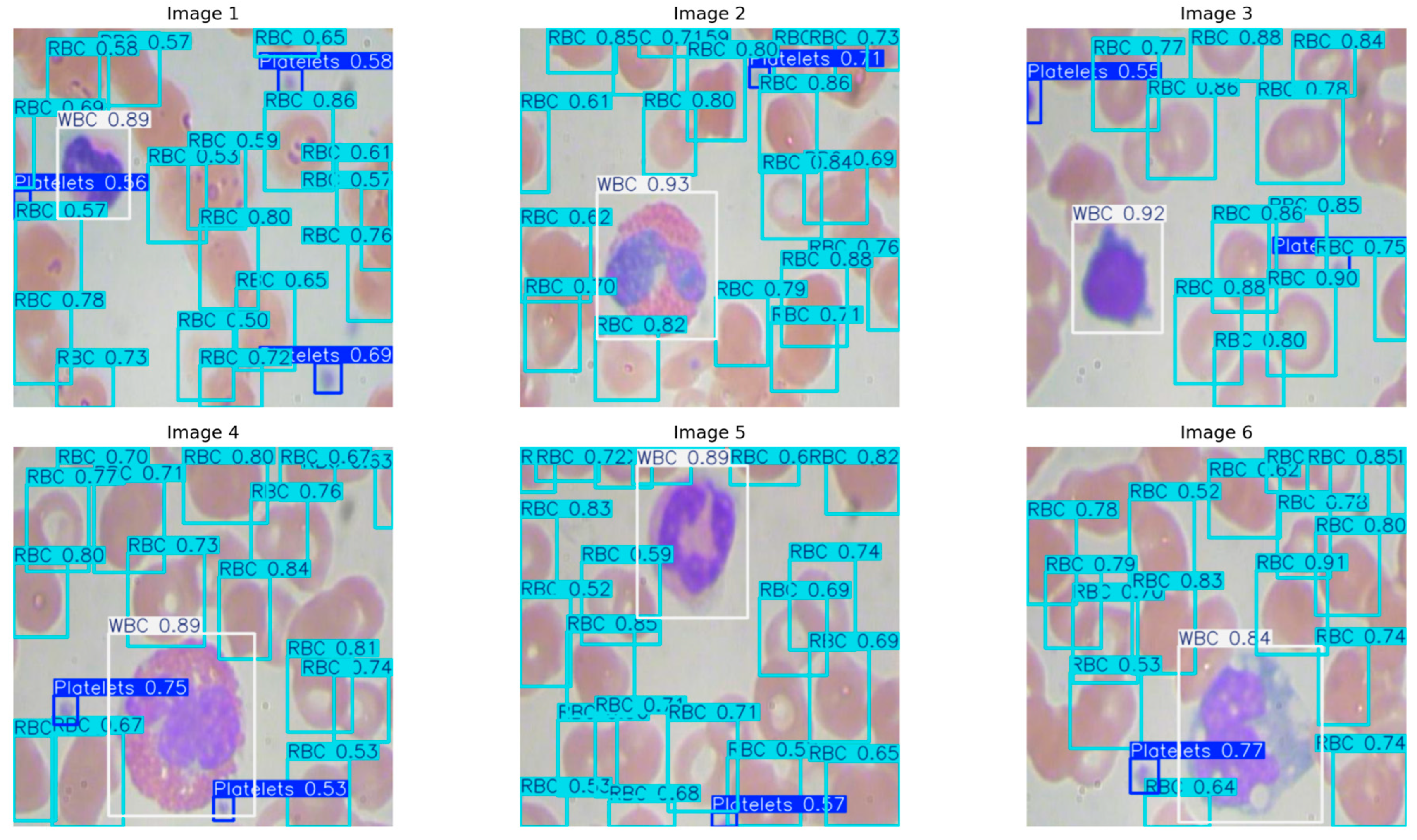 Bioengineering 12 01188 g005