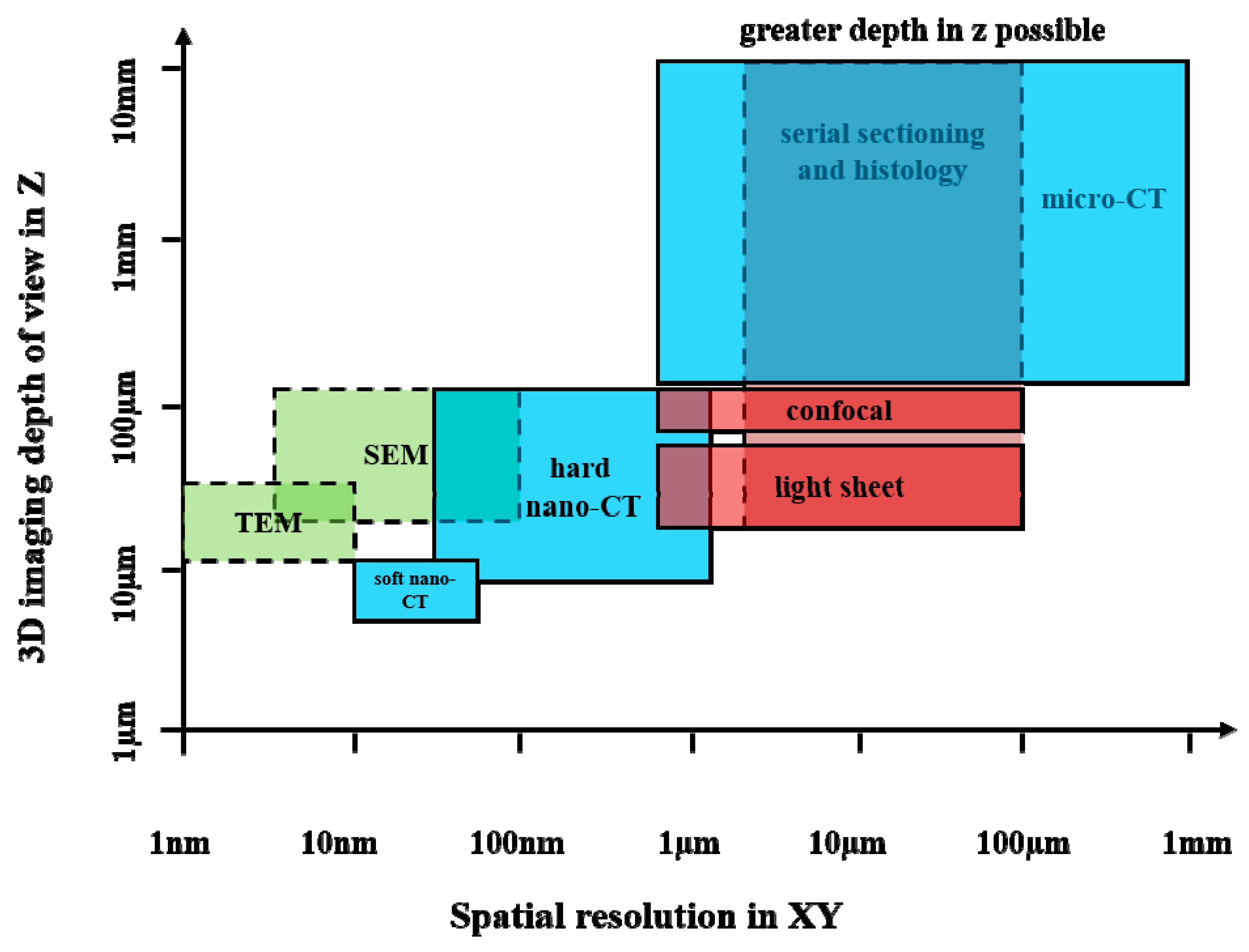 Bioengineering 12 01189 g001 Bioengineering 12 01189 g001