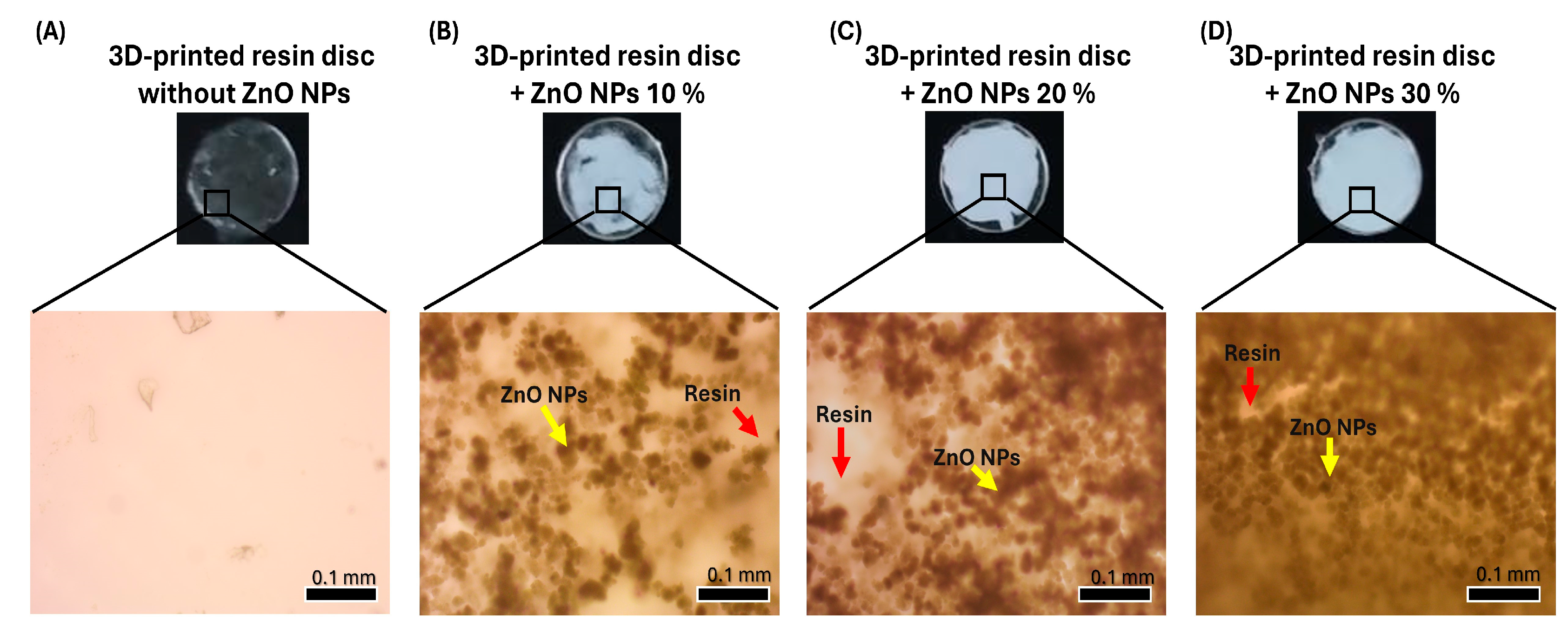 Bioengineering 12 01193 g003