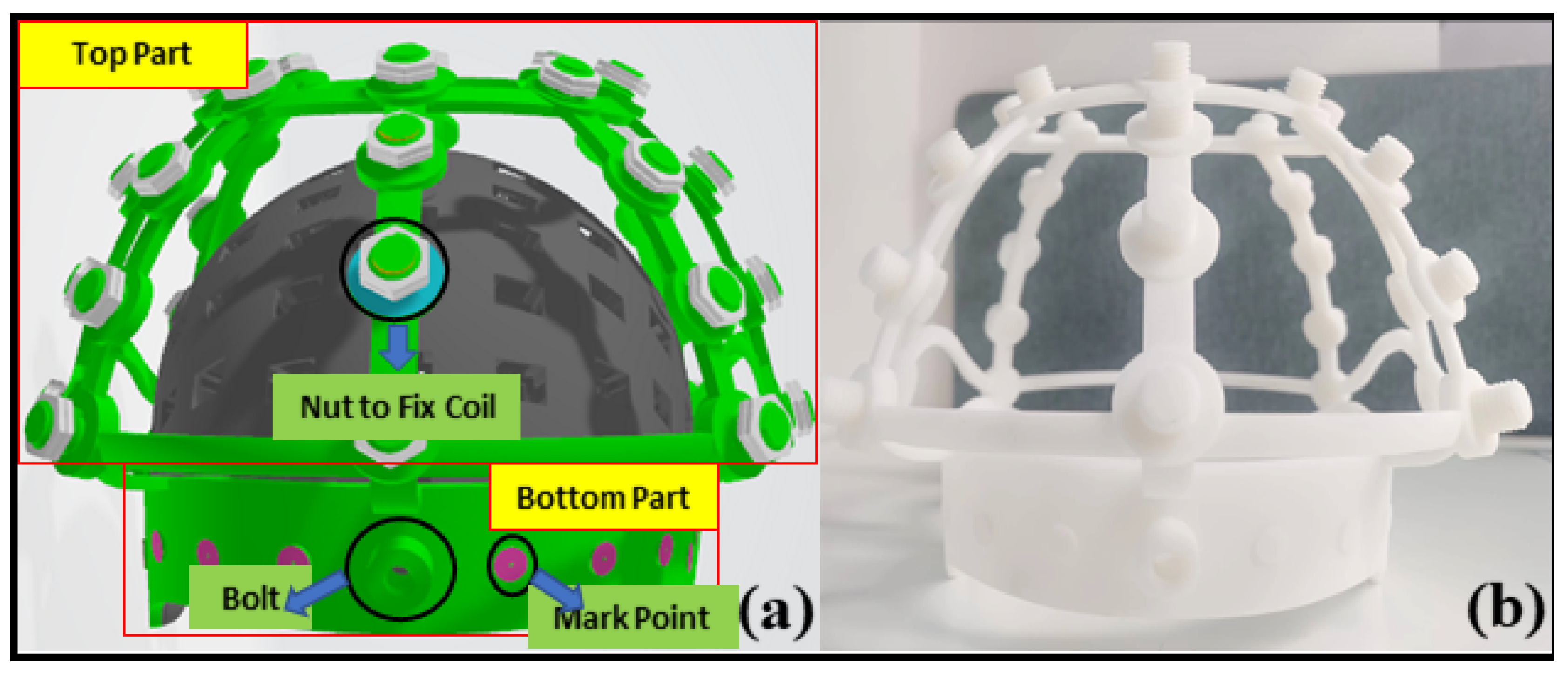 Bioengineering 12 01198 g002 Bioengineering 12 01198 g002