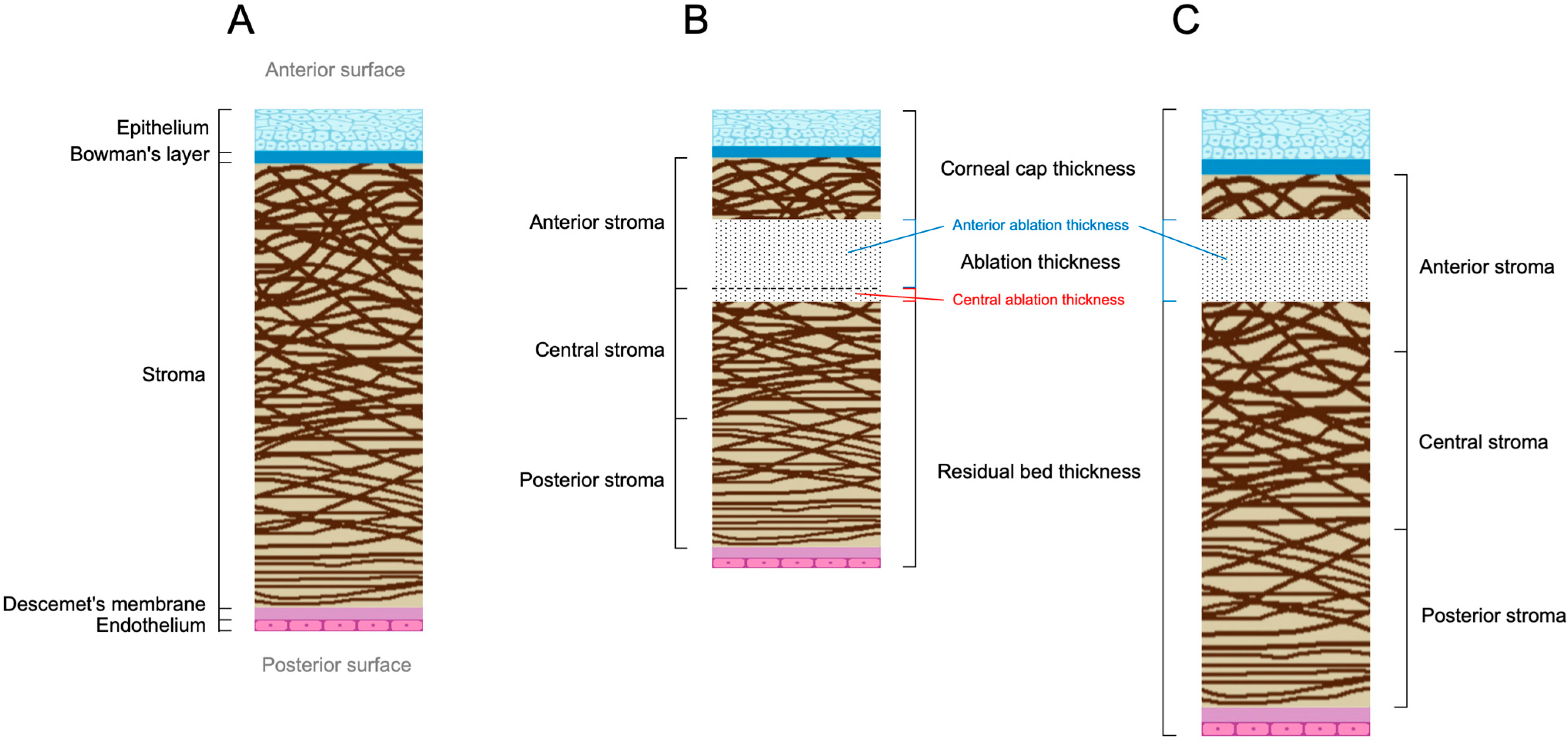 Bioengineering 12 01199 g002 Bioengineering 12 01199 g002